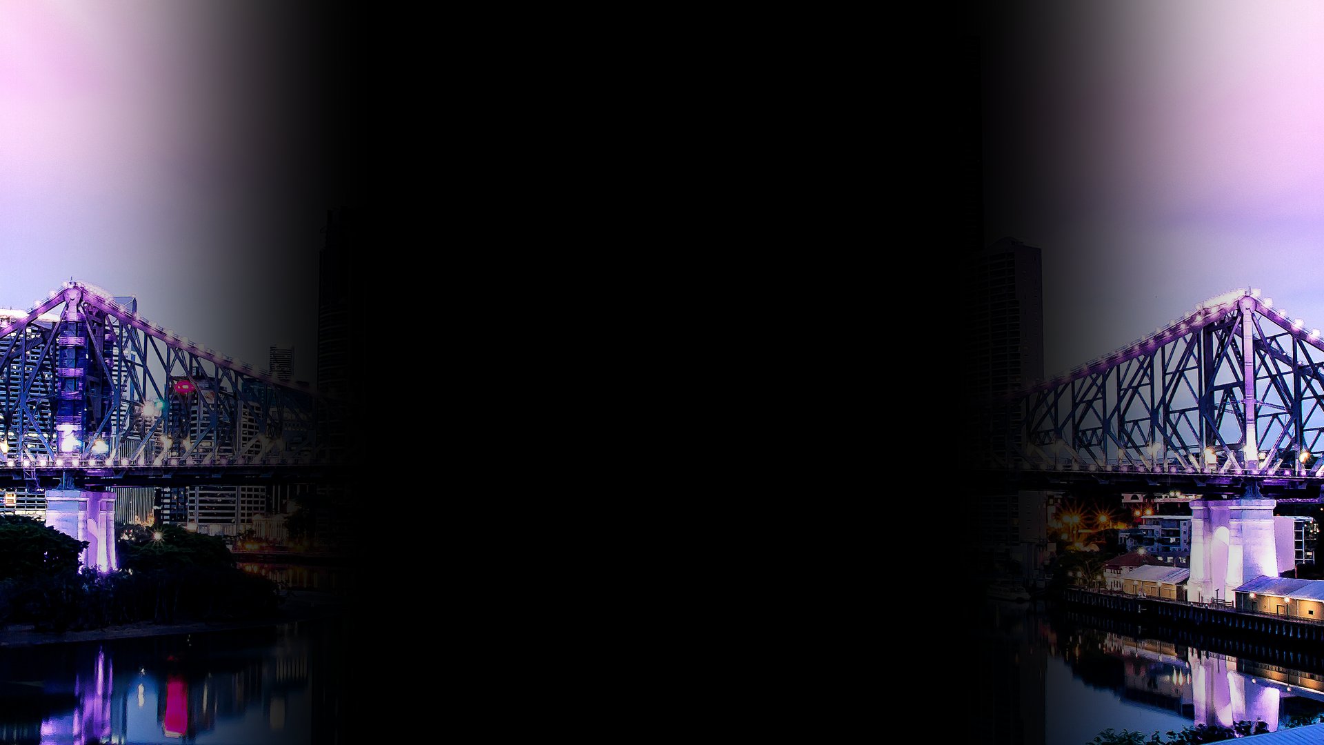 green fern plant in close up photography