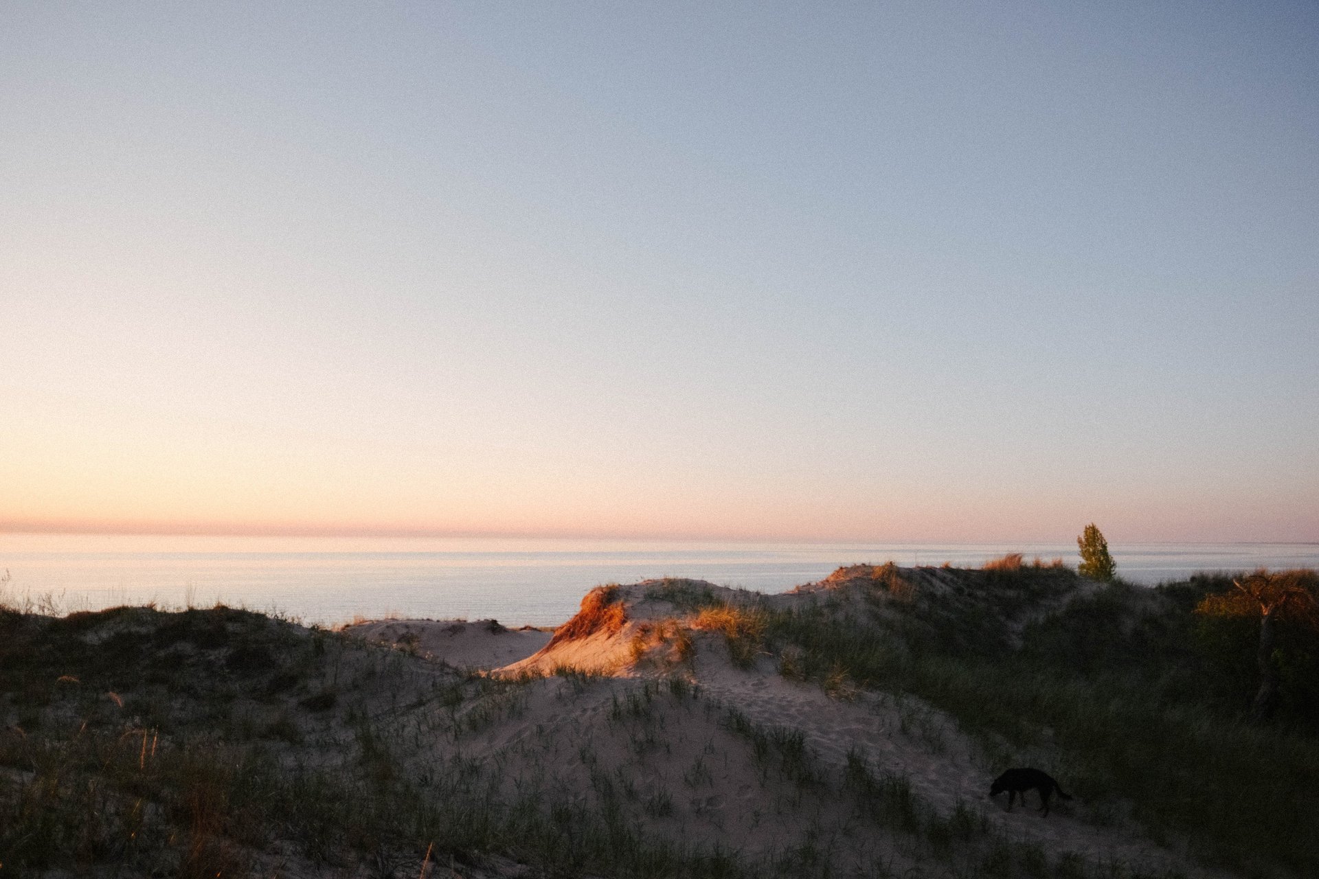 an abstract photo of a curved building with a blue sky in the background