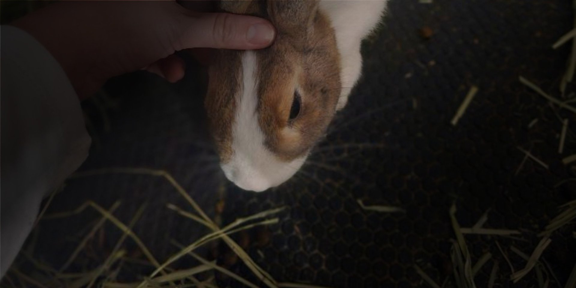 black and white bed linen