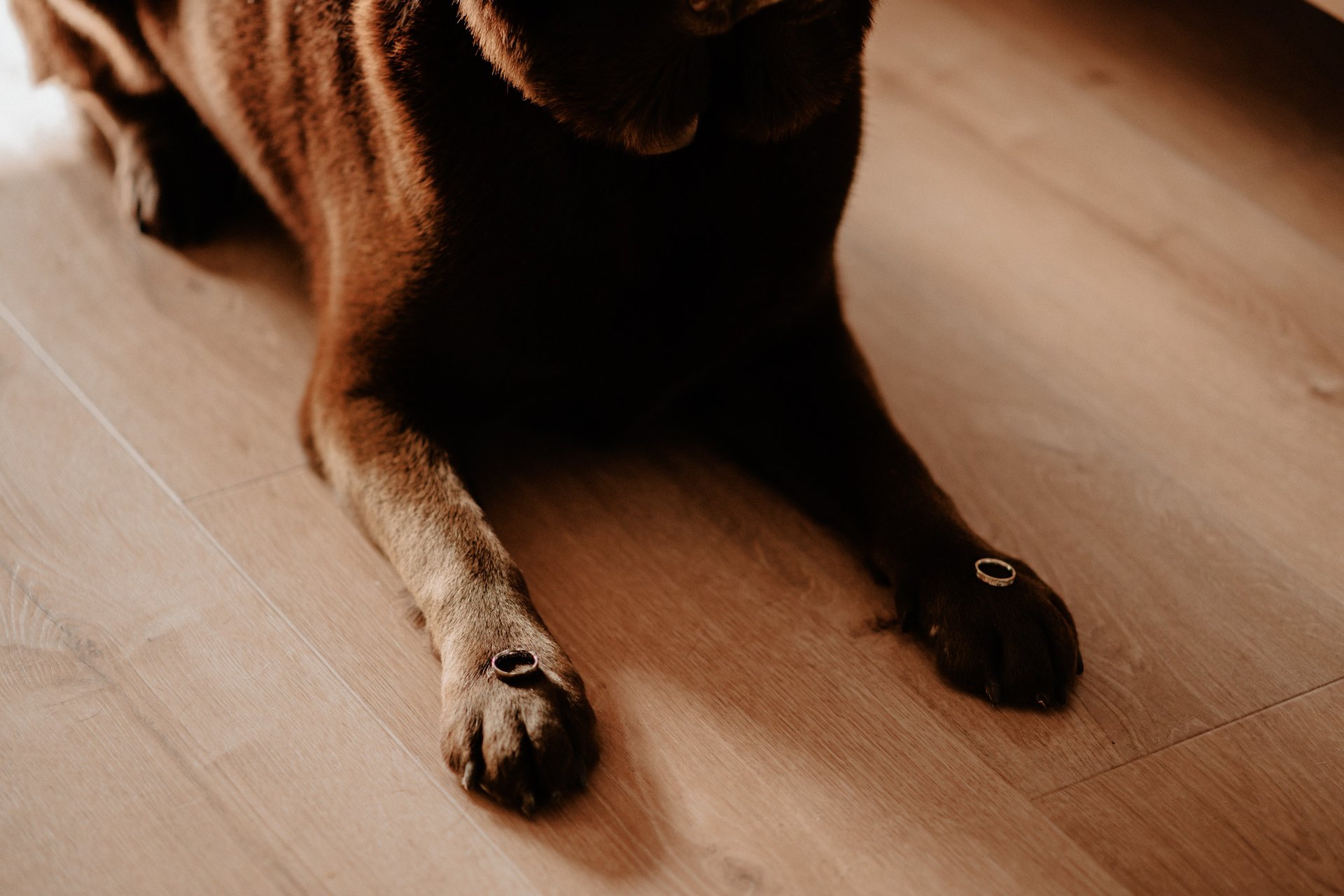 woman wearing yellow long-sleeved dress under white clouds and blue sky during daytime