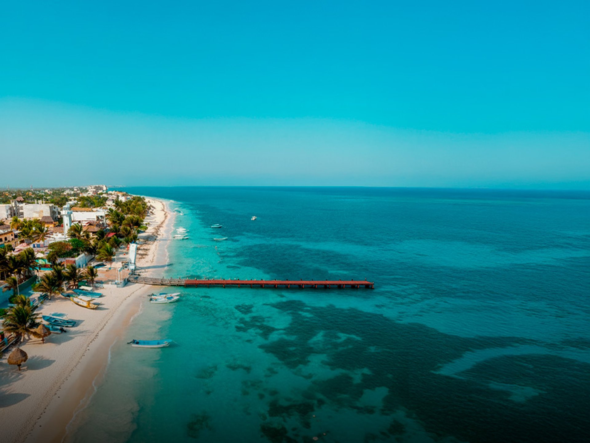 a large bird flying through a blue sky