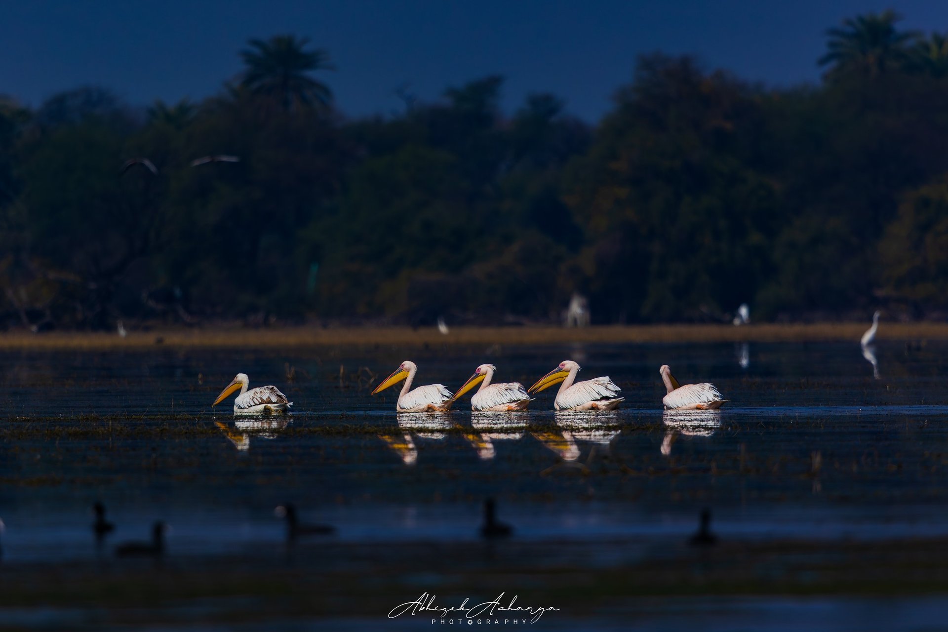 black and brown leather padded tub sofa