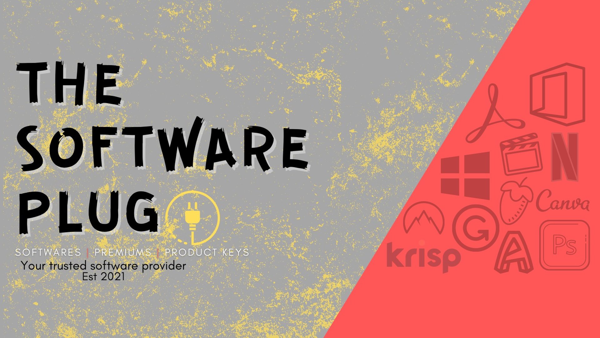 woman holding dried flower