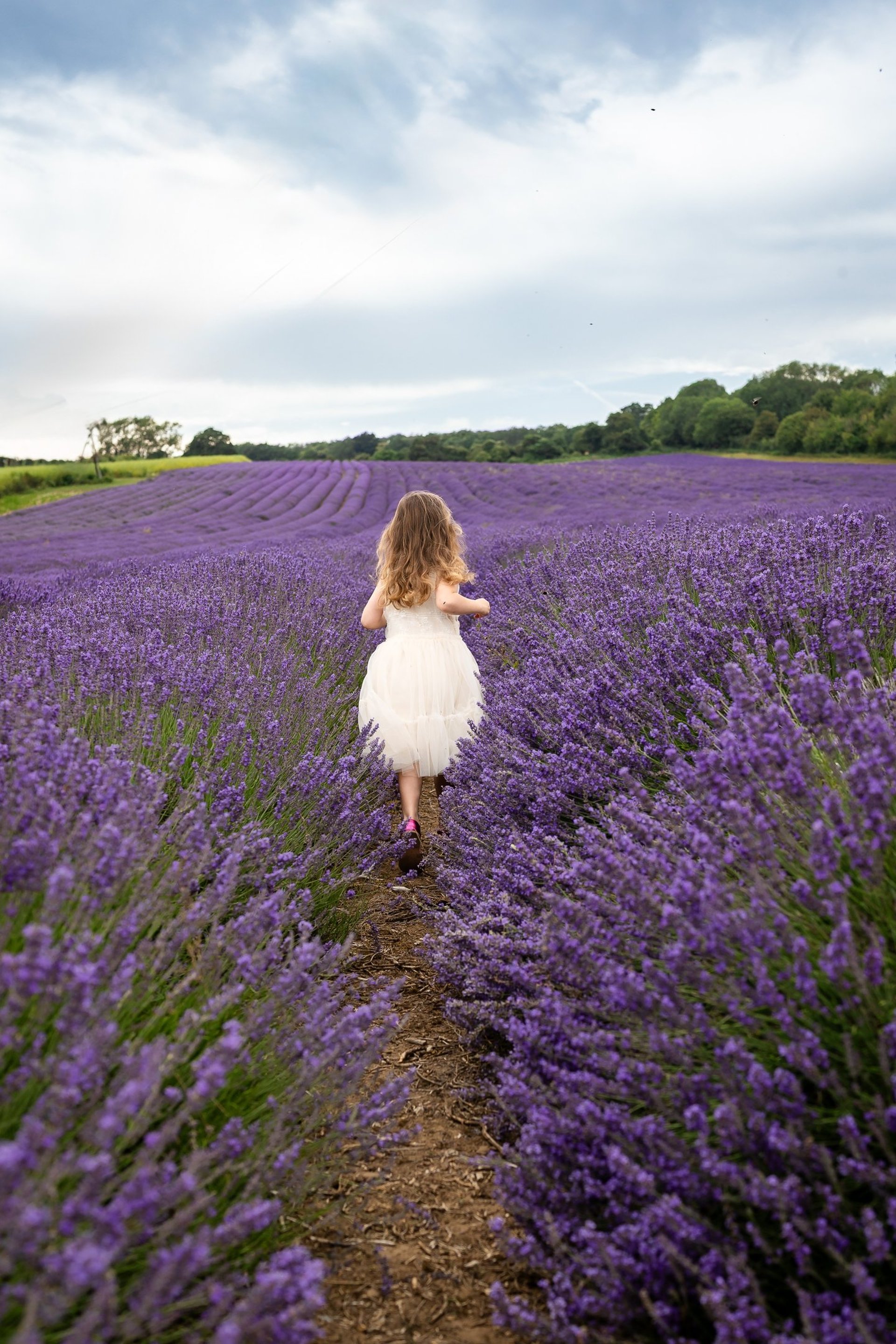 Girl running in the lavender field