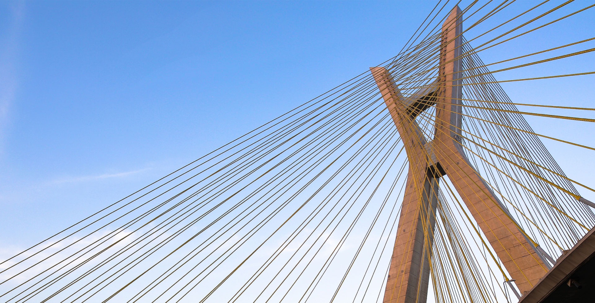 a display case with a scale, cups, and other items