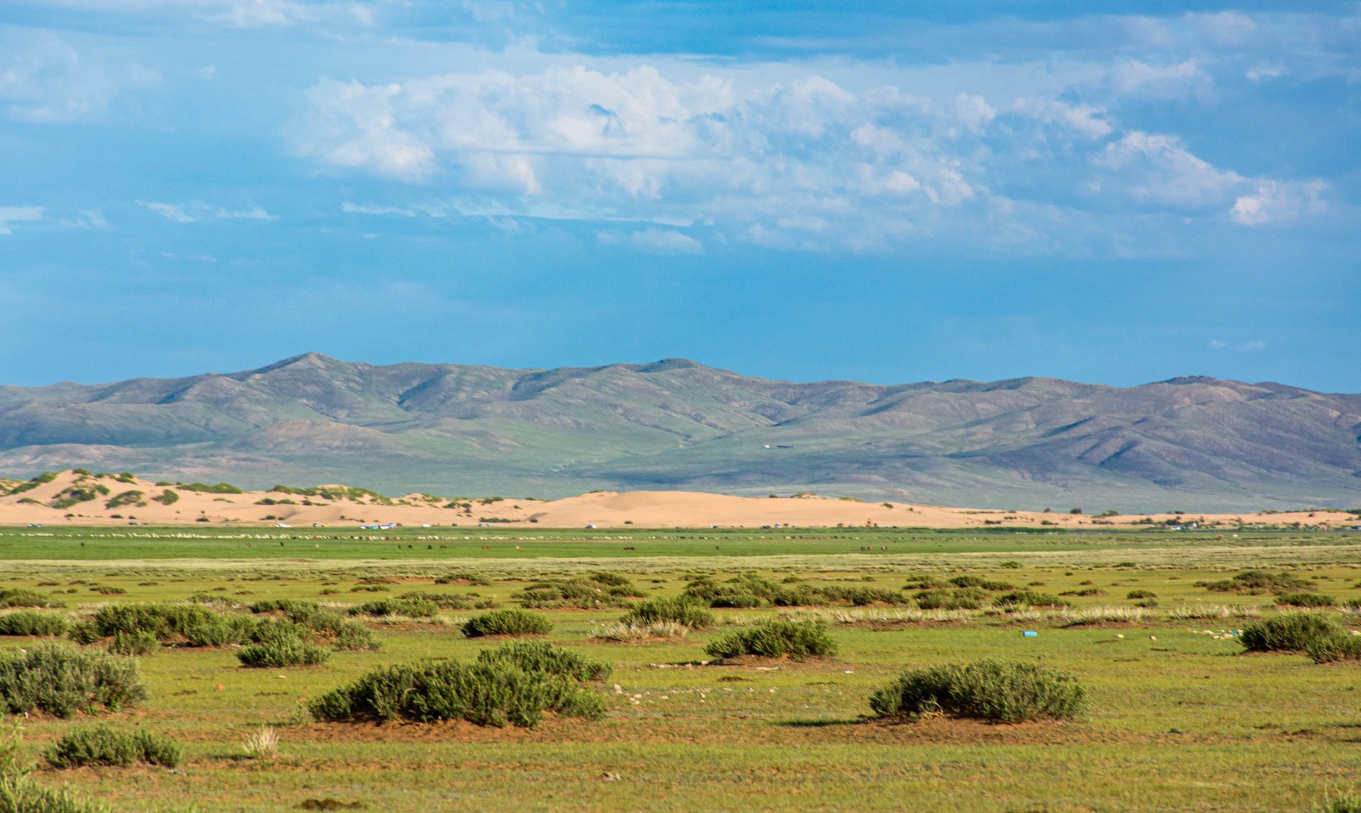 gray computer monitor