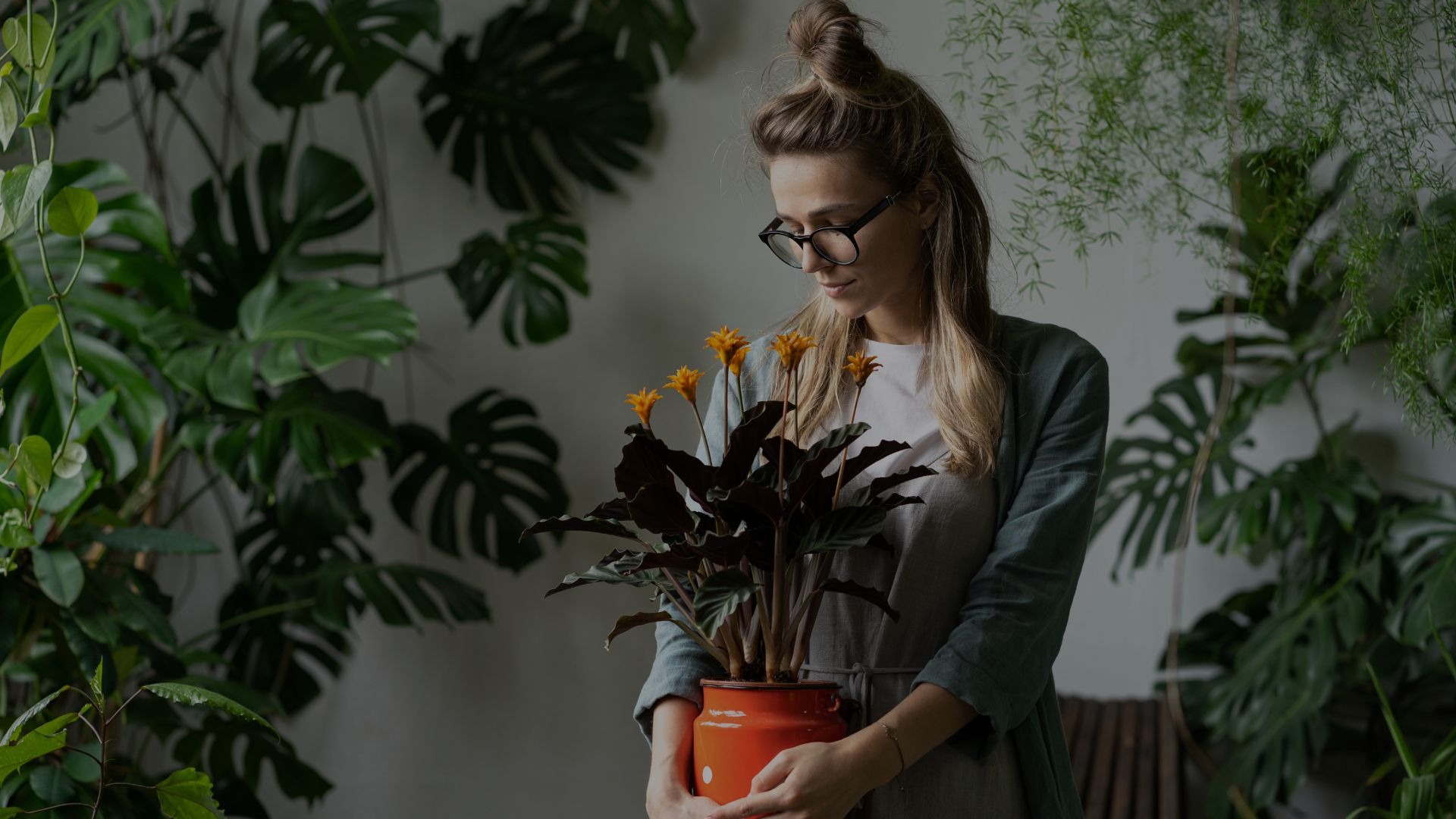 person holding green succulent plant