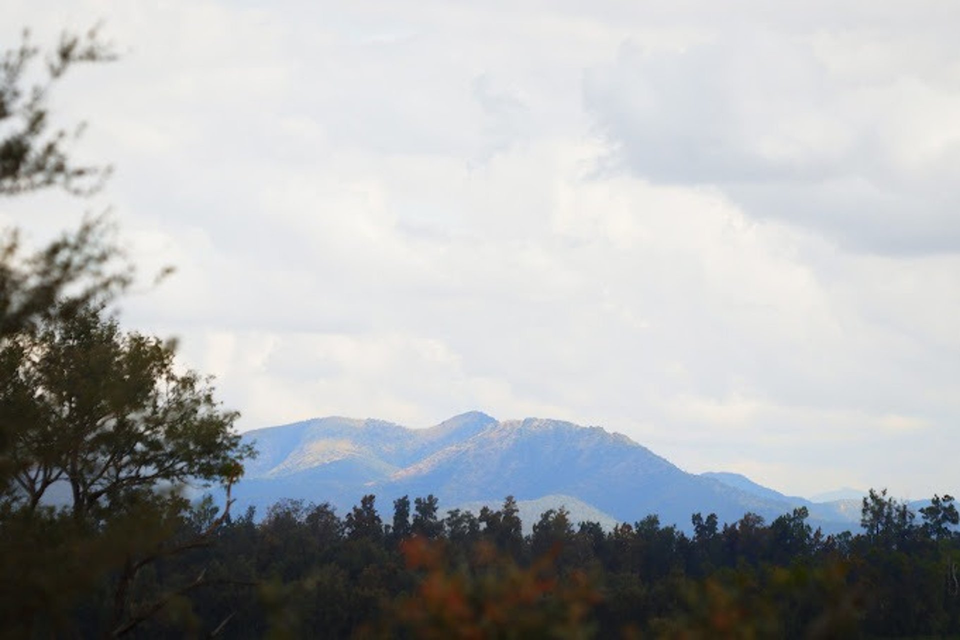 brown wooden bridge over blue sea under blue sky during daytime