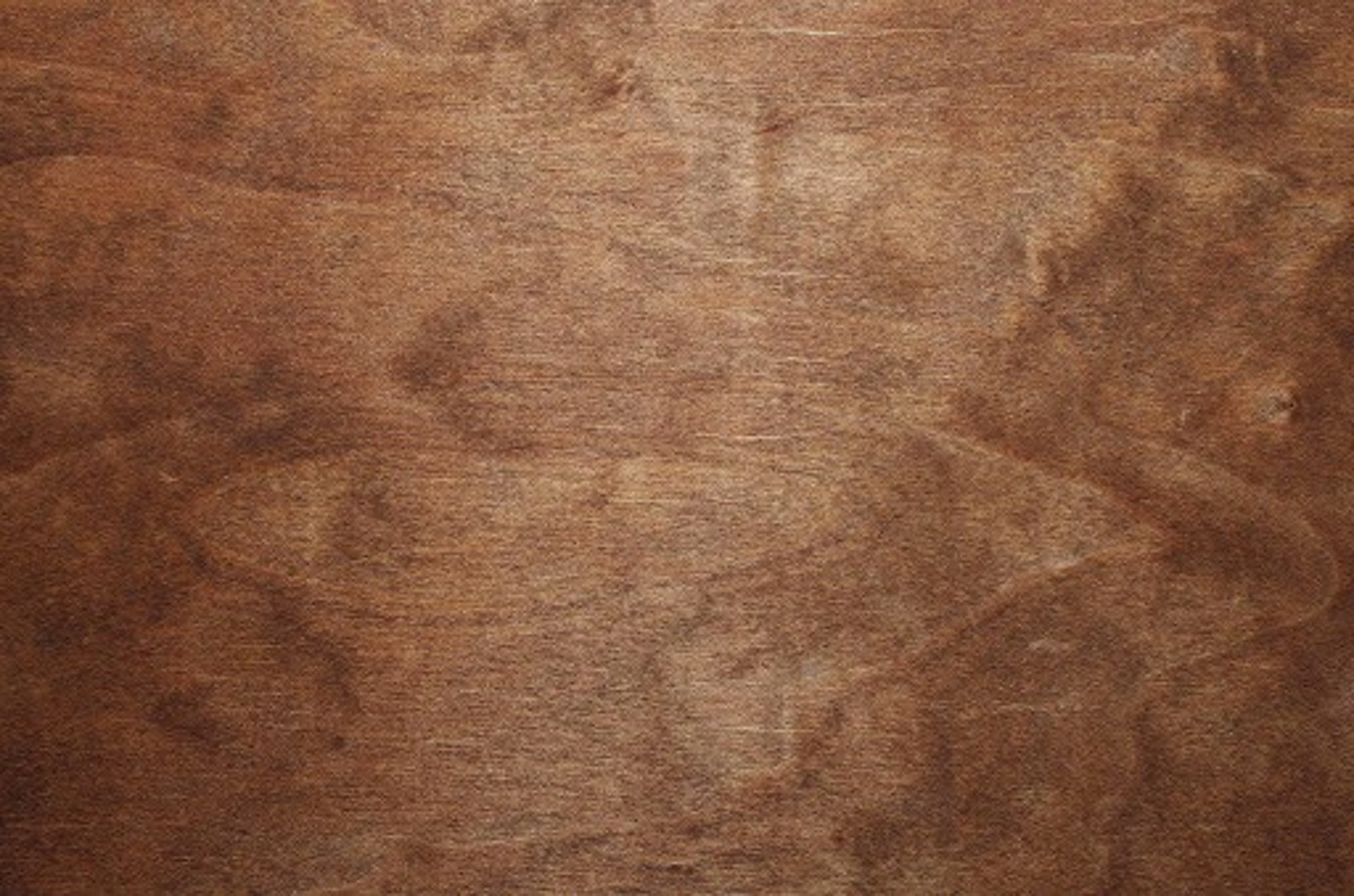 painting on white house beside green-leafed tree