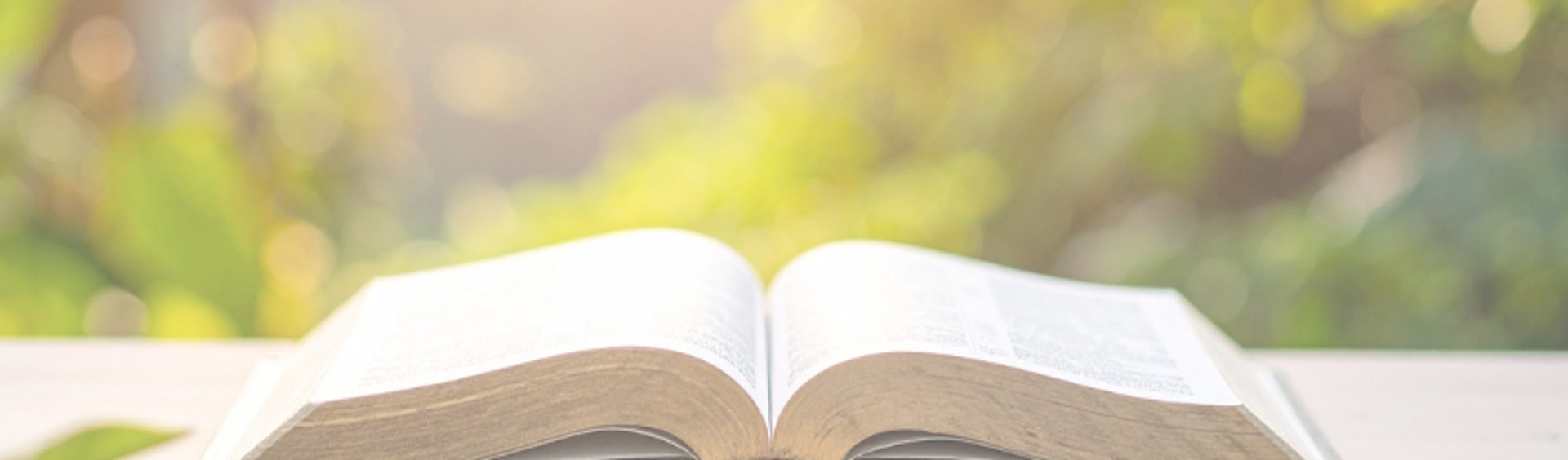 selective focus photography of opened book
