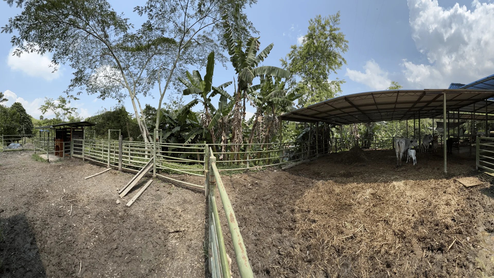 Corrales bovinos finca santa cruz nocaima 21 fanegadas en venta por juan garcia rodriguex