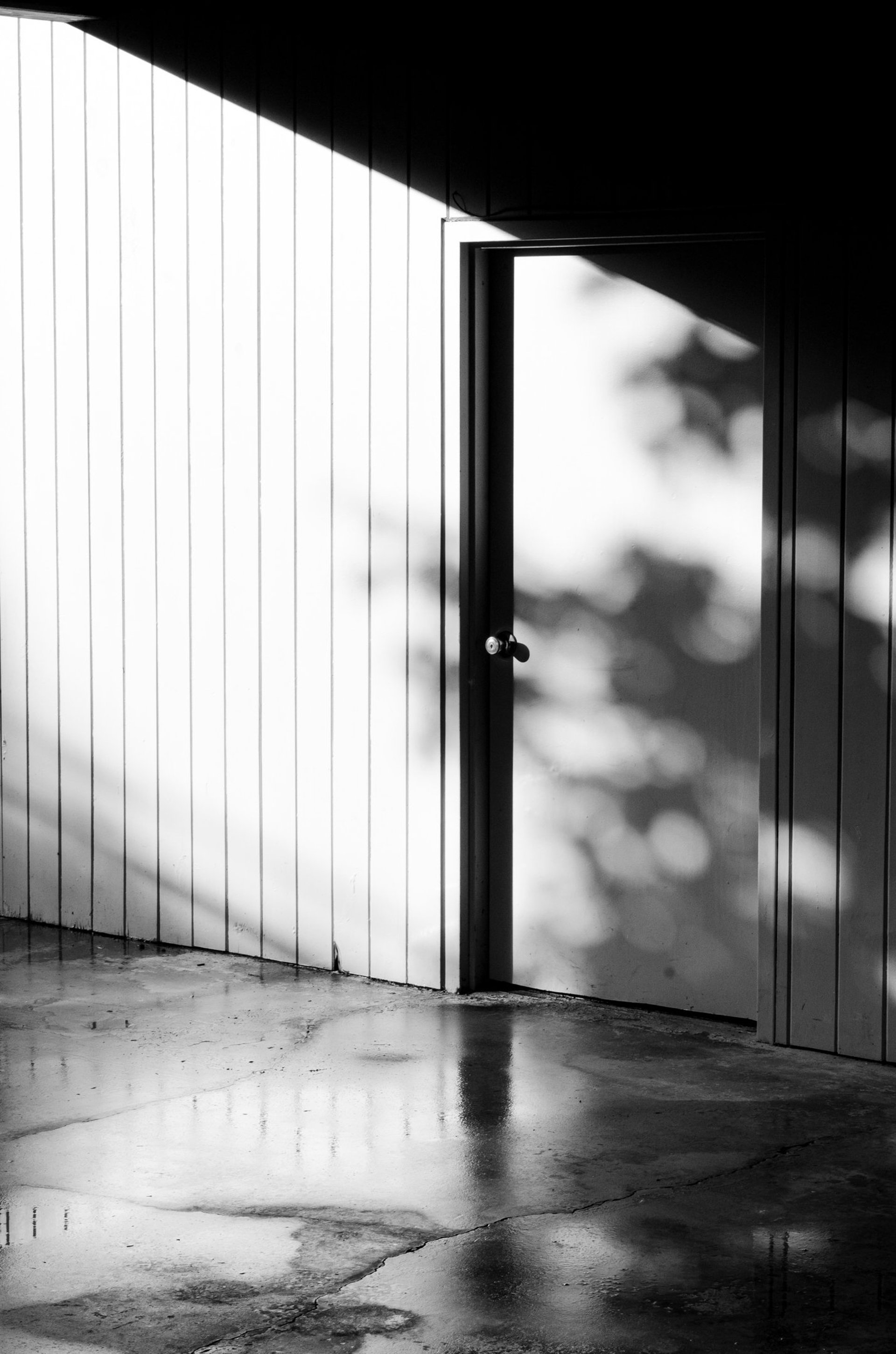 multicolored abstract painting