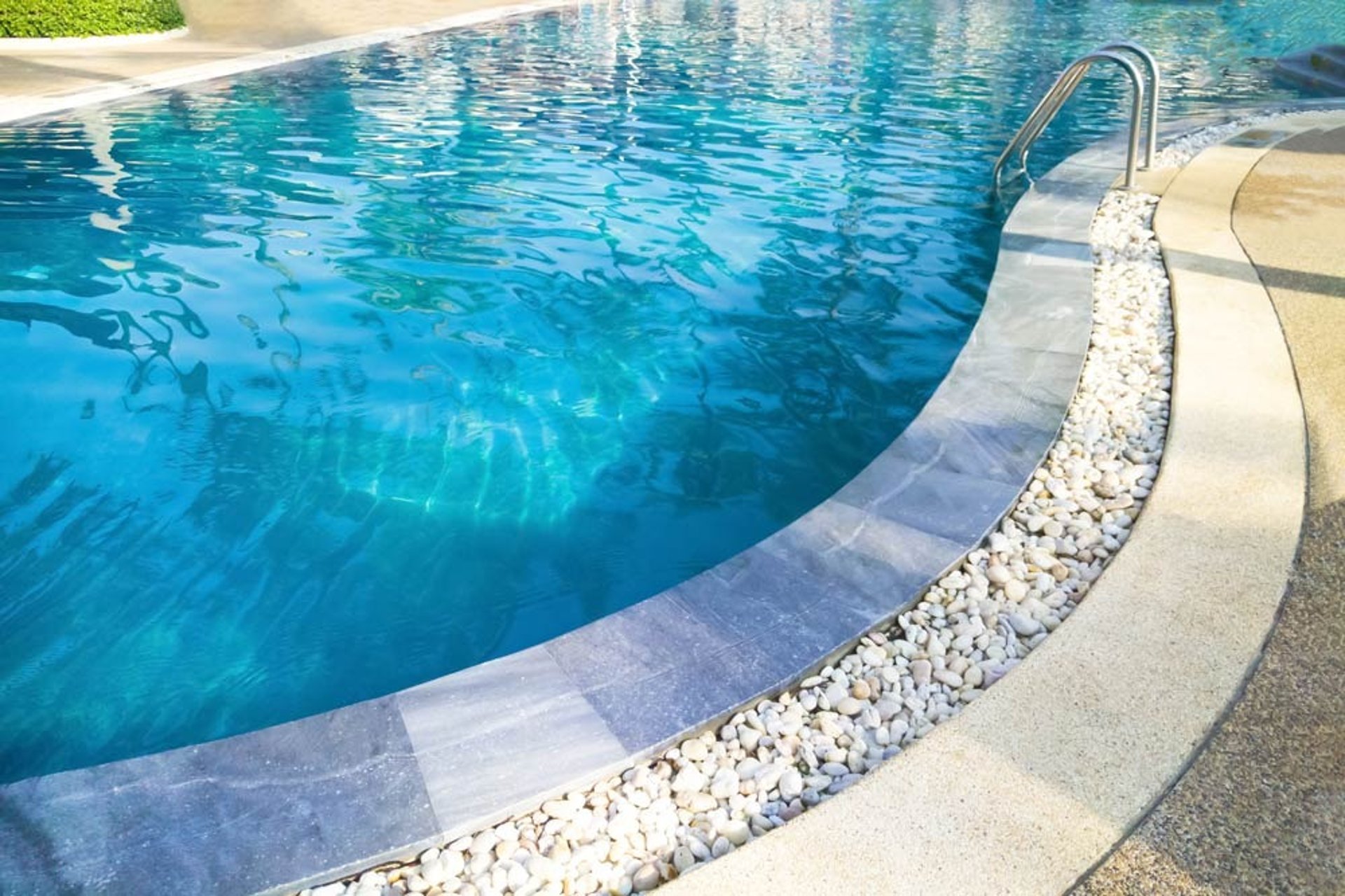 Curved backyard pool with clean blue water and pebble-lined edge, maintained by Piscus Pools in Los Angeles.