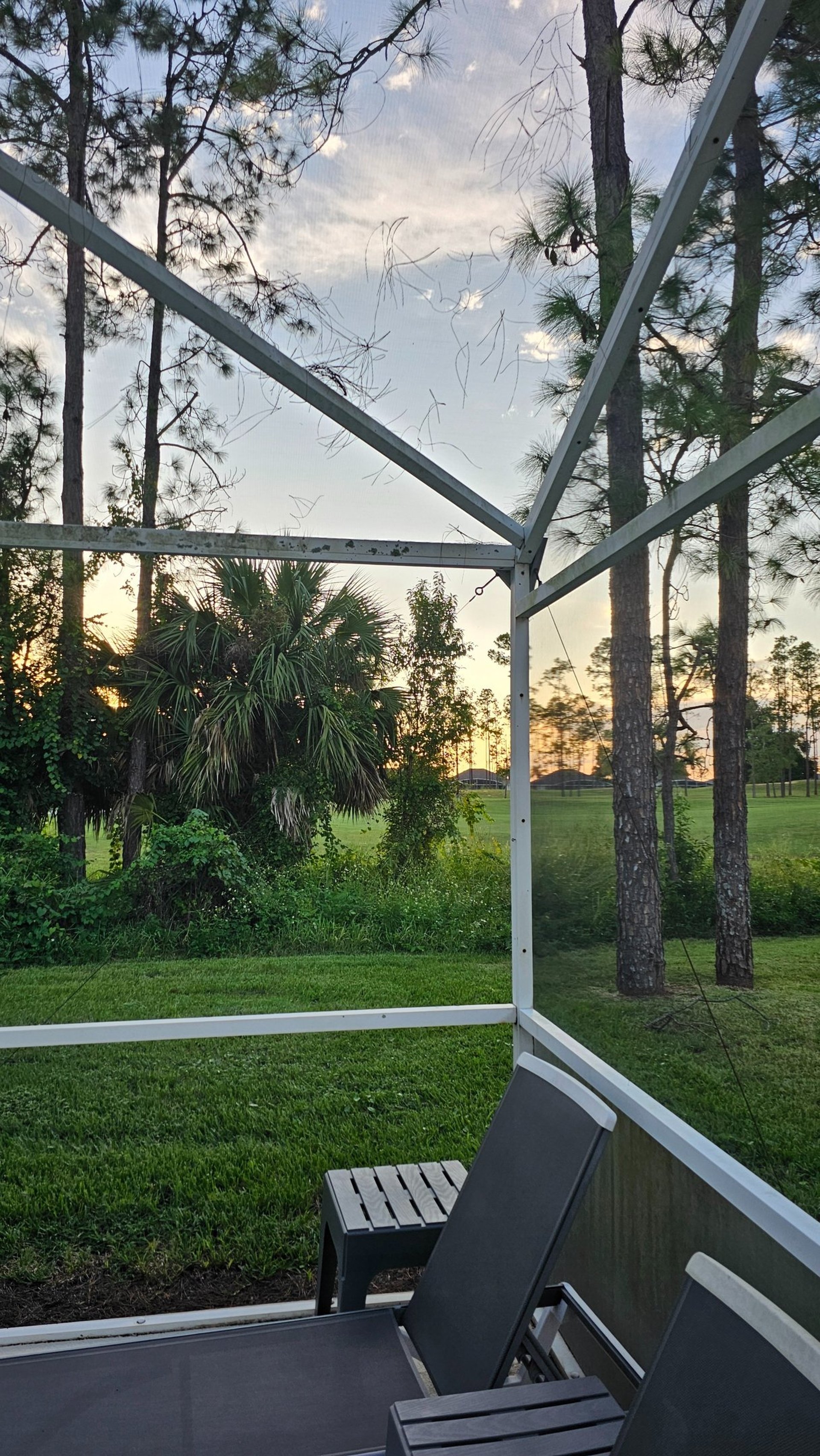yellow sunflower field during daytime