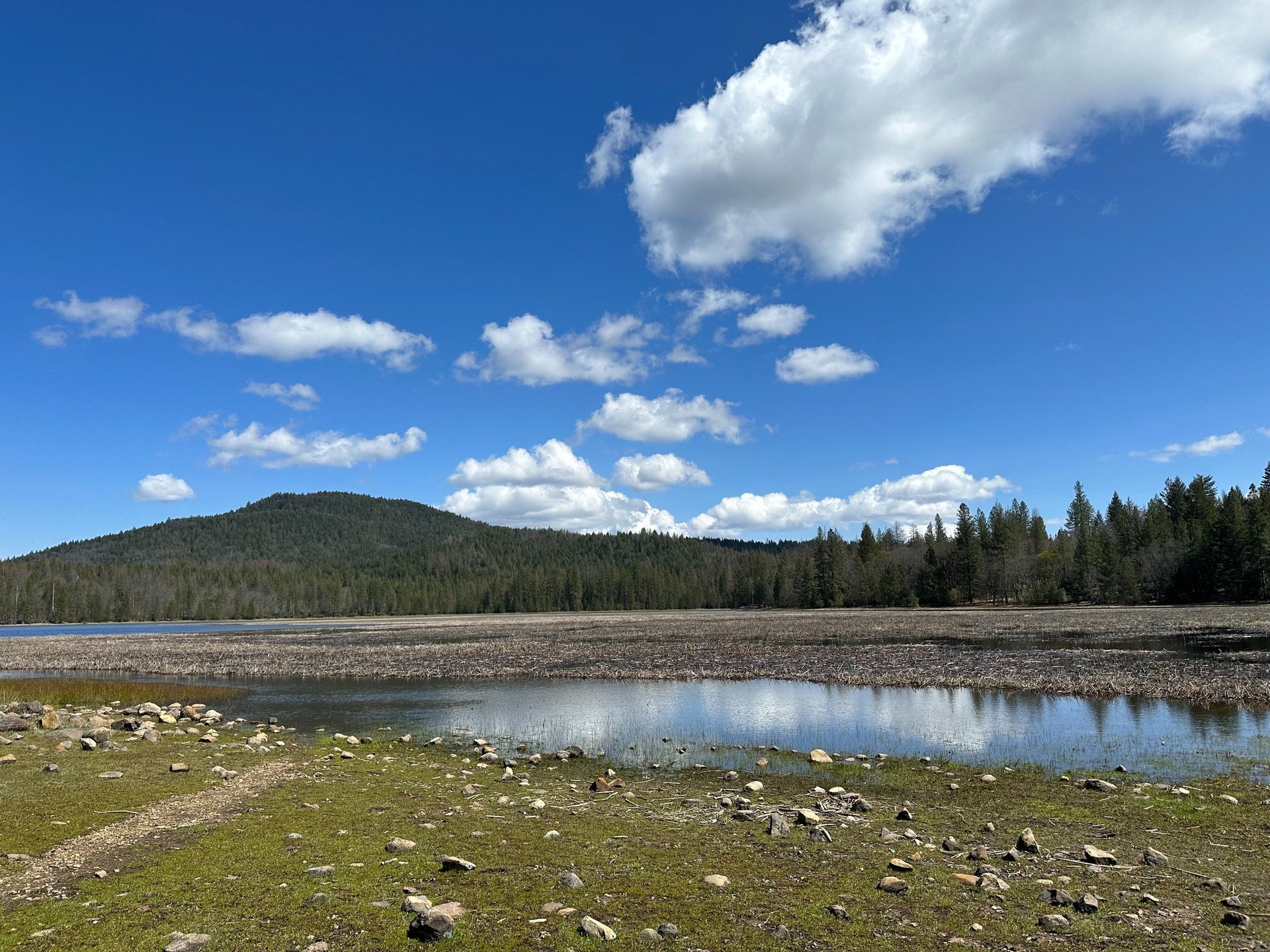 black and brown leather padded tub sofa