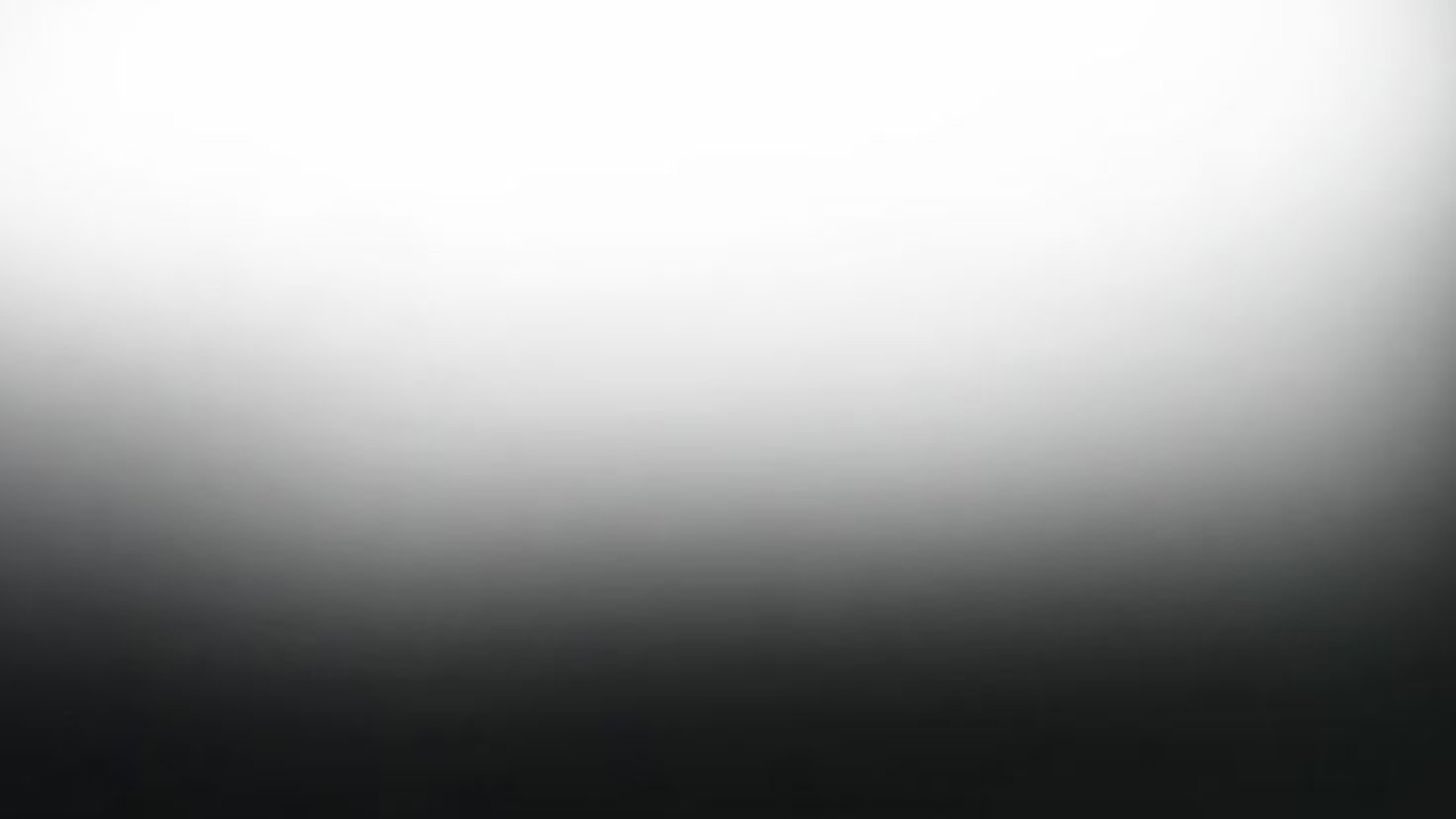 cooked food on plate