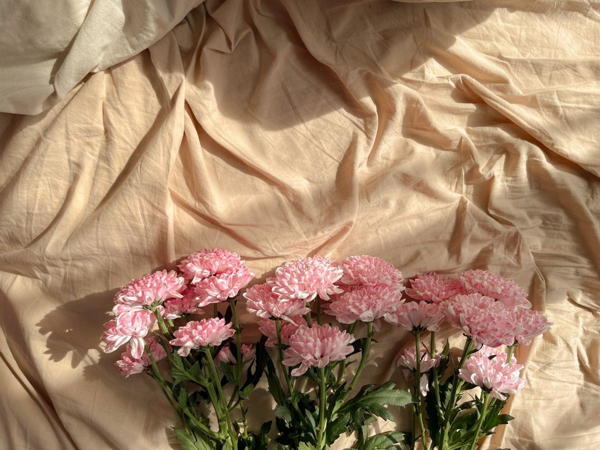 black and white bed linen
