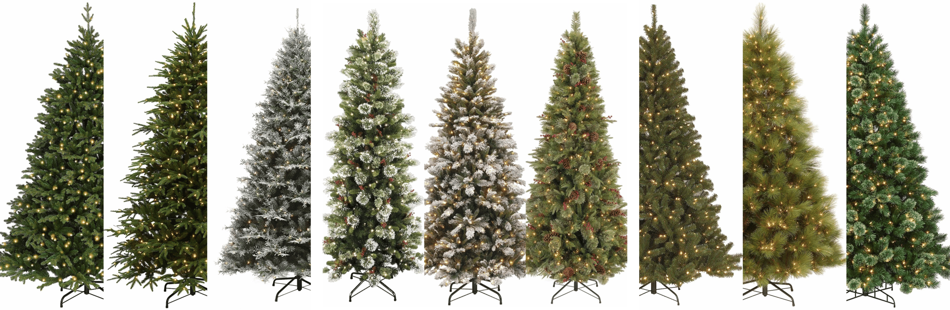 closeup photography of pine tree with pinecone