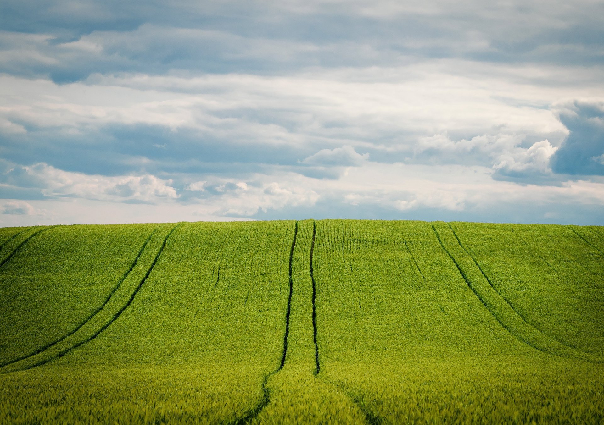 green grass field under cloudy sky during daytime