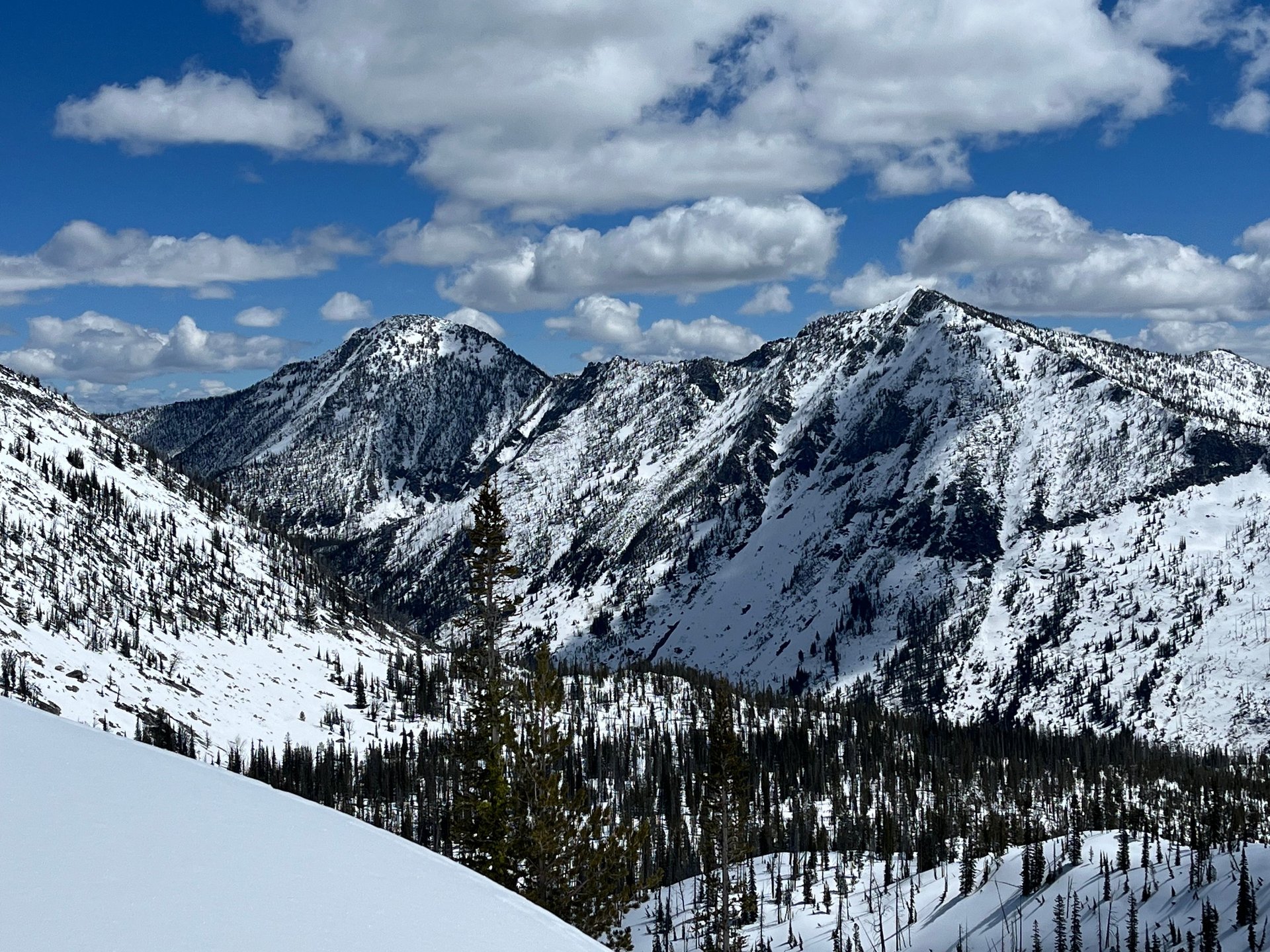 black and white bed linen
