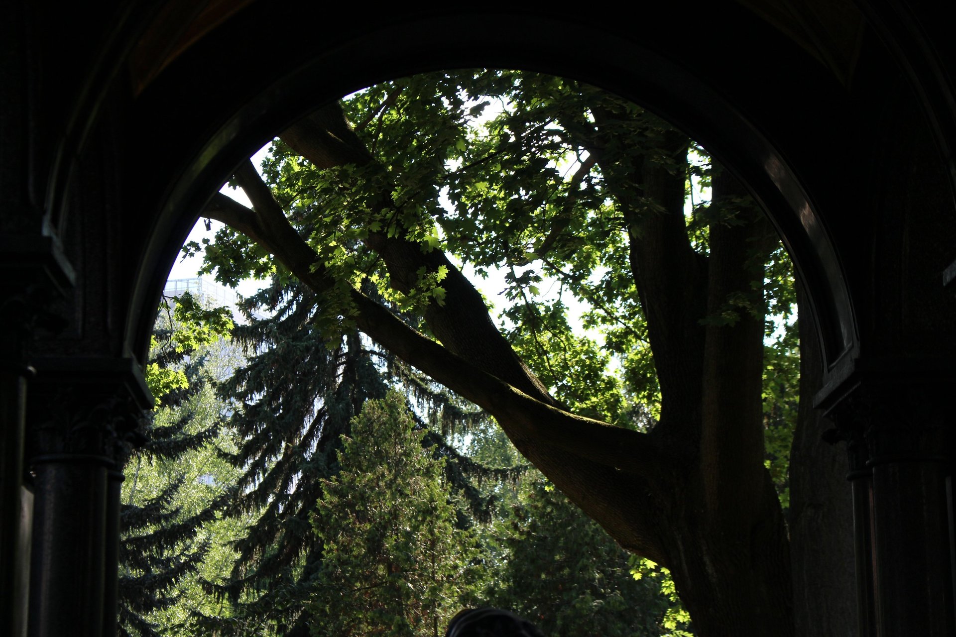 gray computer monitor