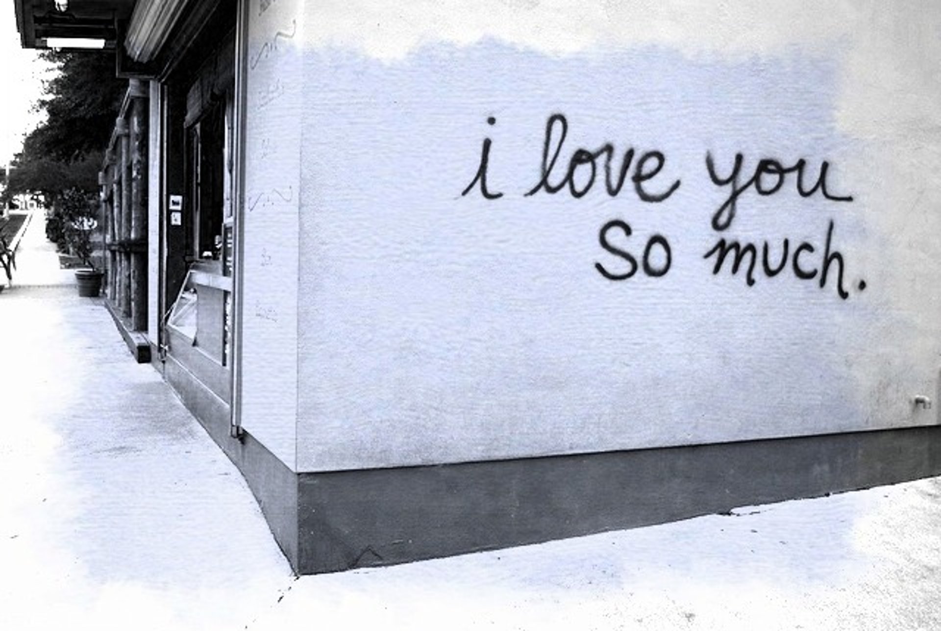 women's black and white bra