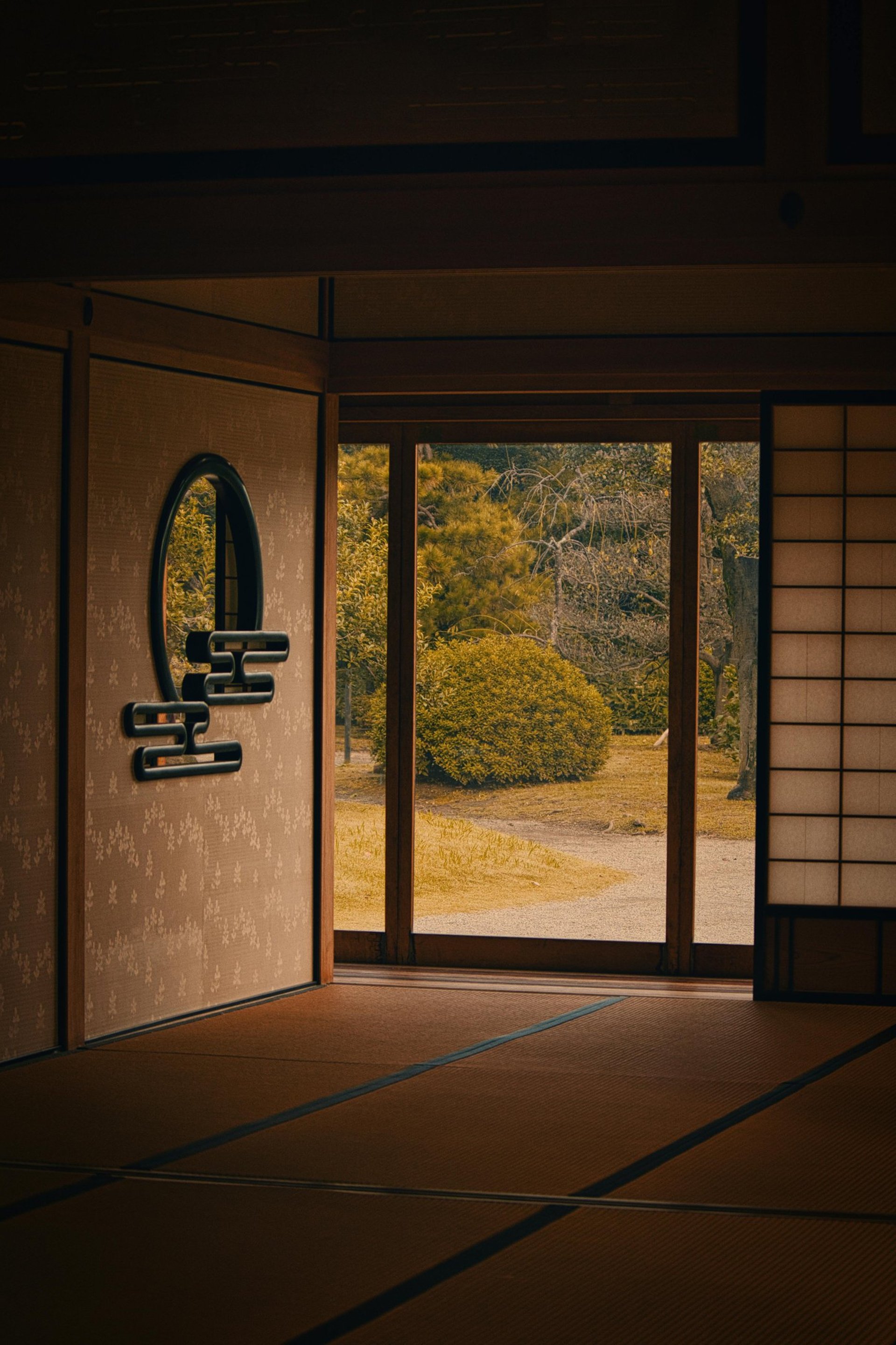 an abstract photo of a curved building with a blue sky in the background
