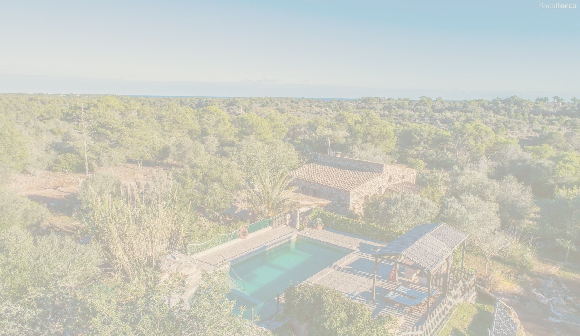 an abstract photo of a curved building with a blue sky in the background