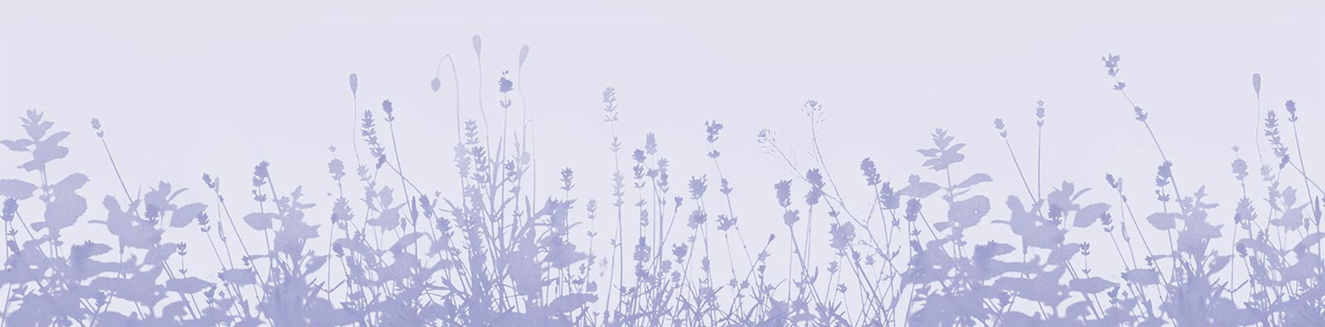Footer Blumenwiese