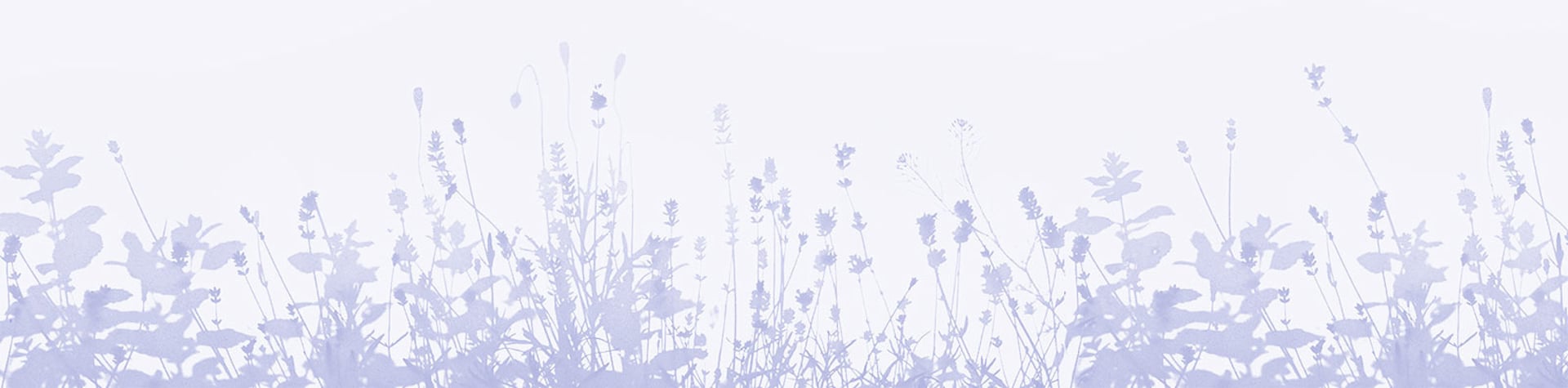 Footer Blumenwiese