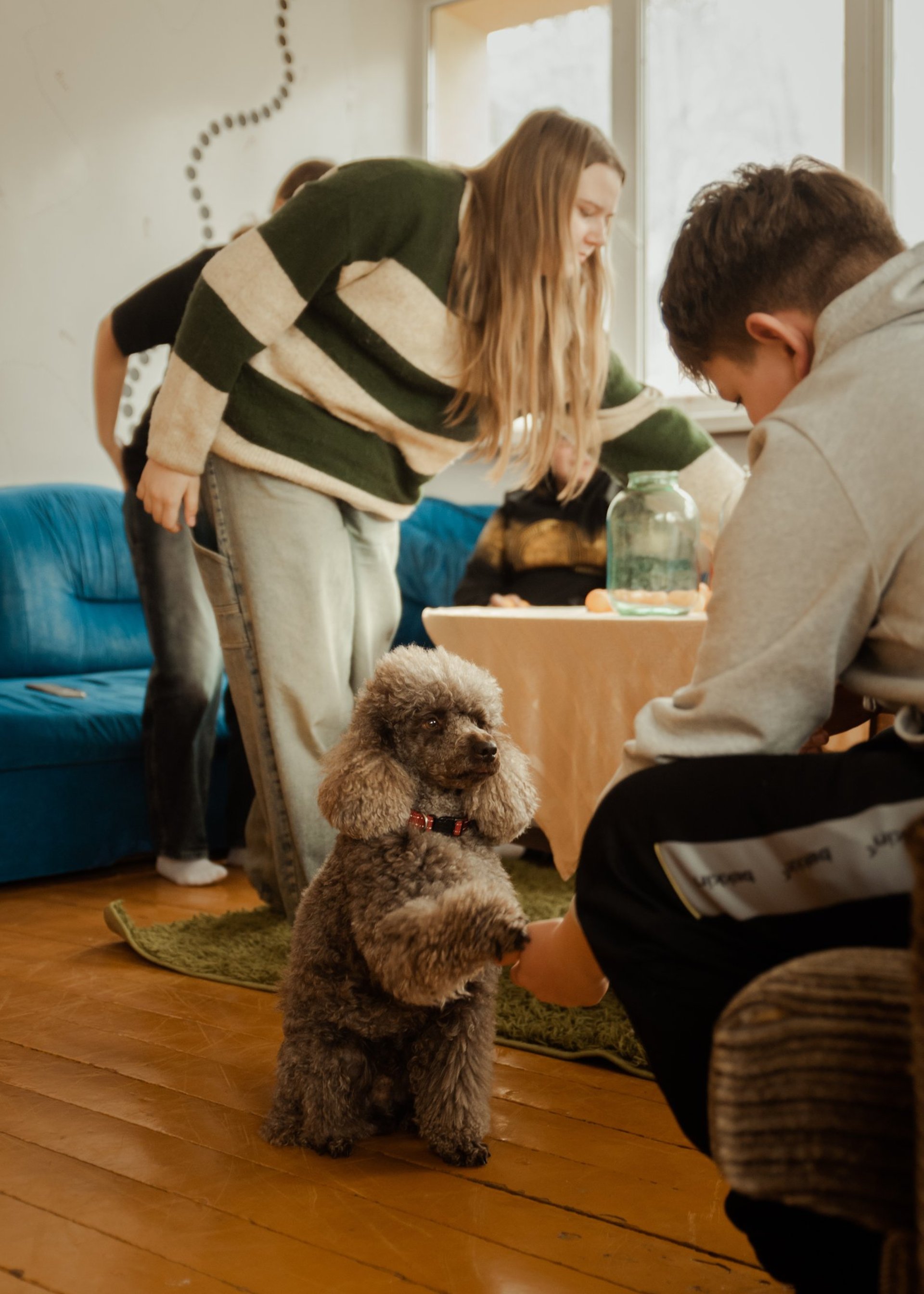 gray computer monitor