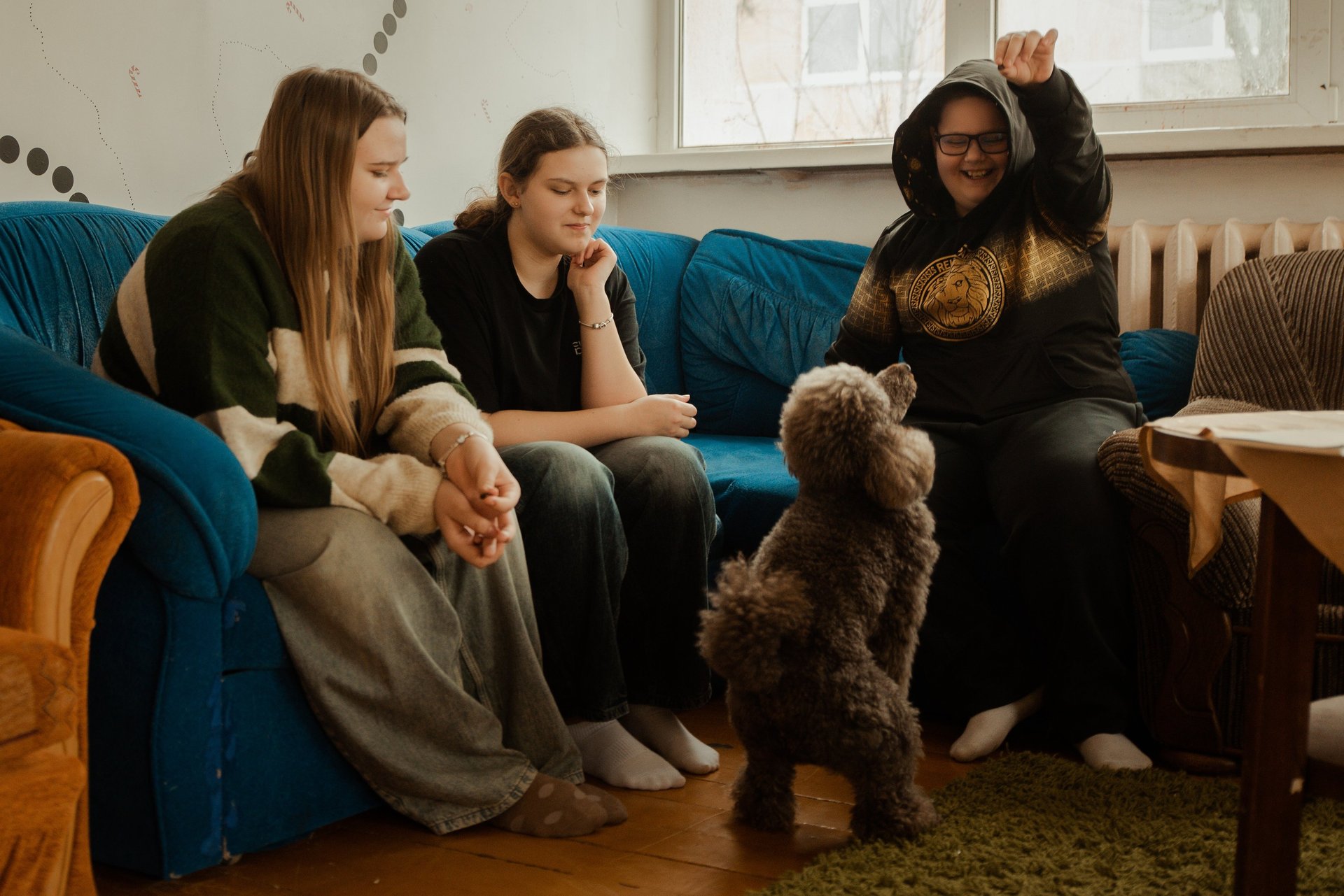 black and brown leather padded tub sofa