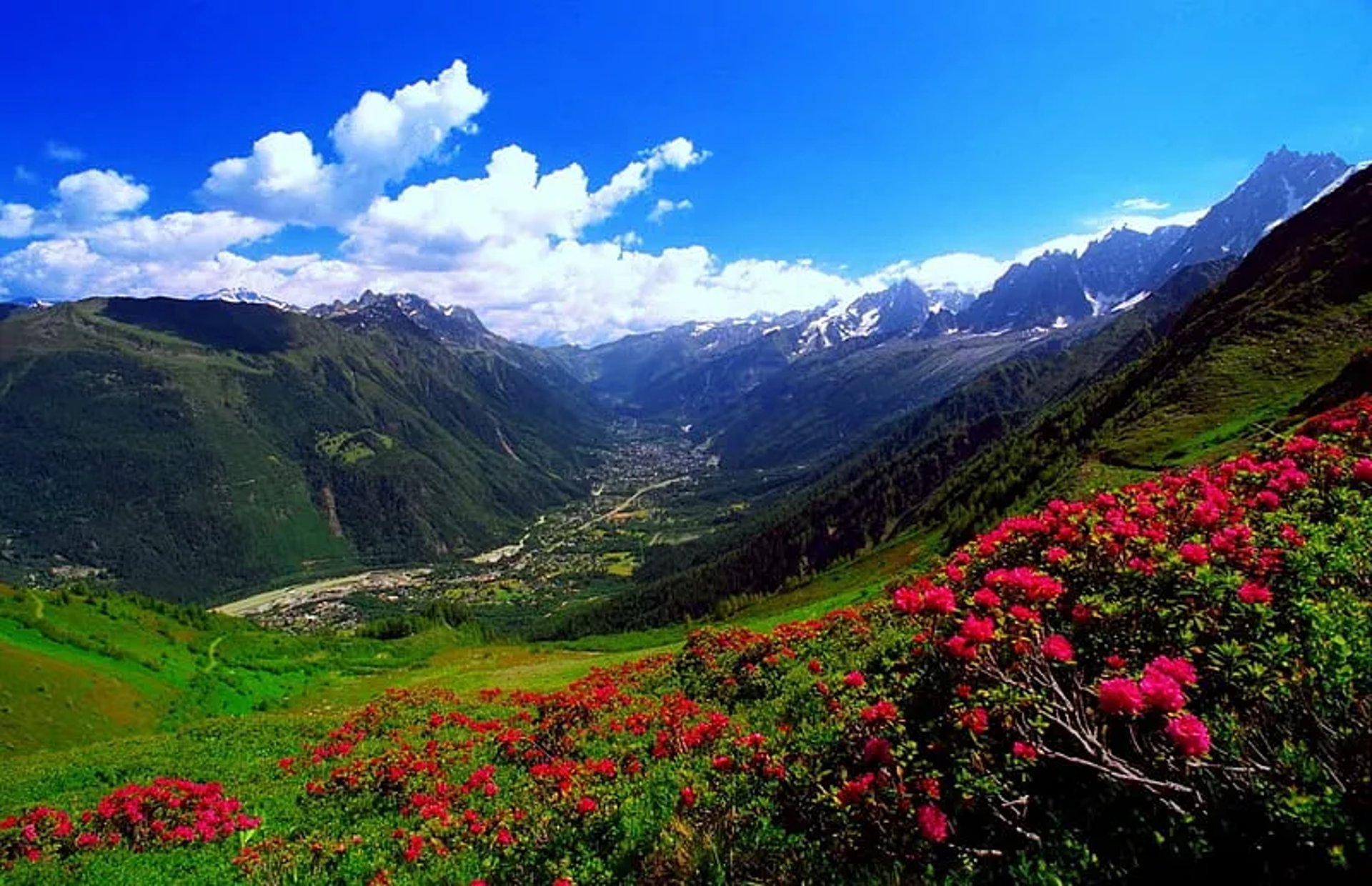 ocean waves crashing on shore during daytime