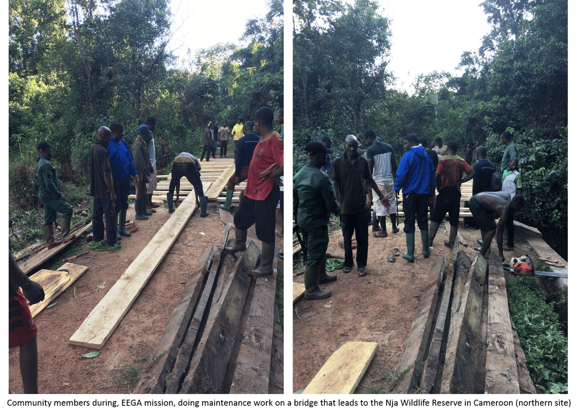 gray computer monitor