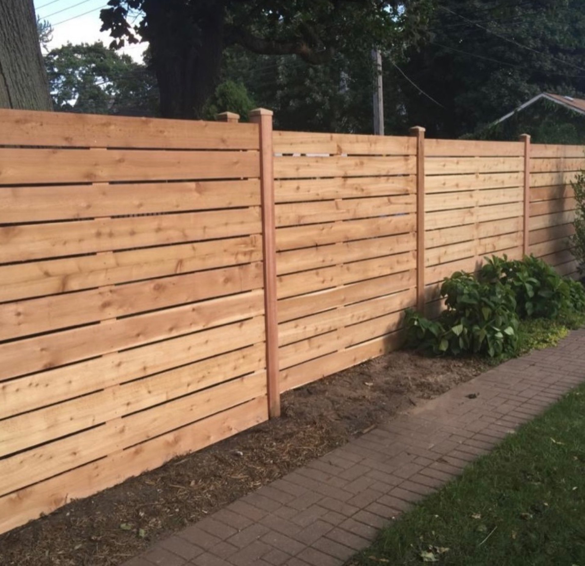 brown wooden fence with white flowers