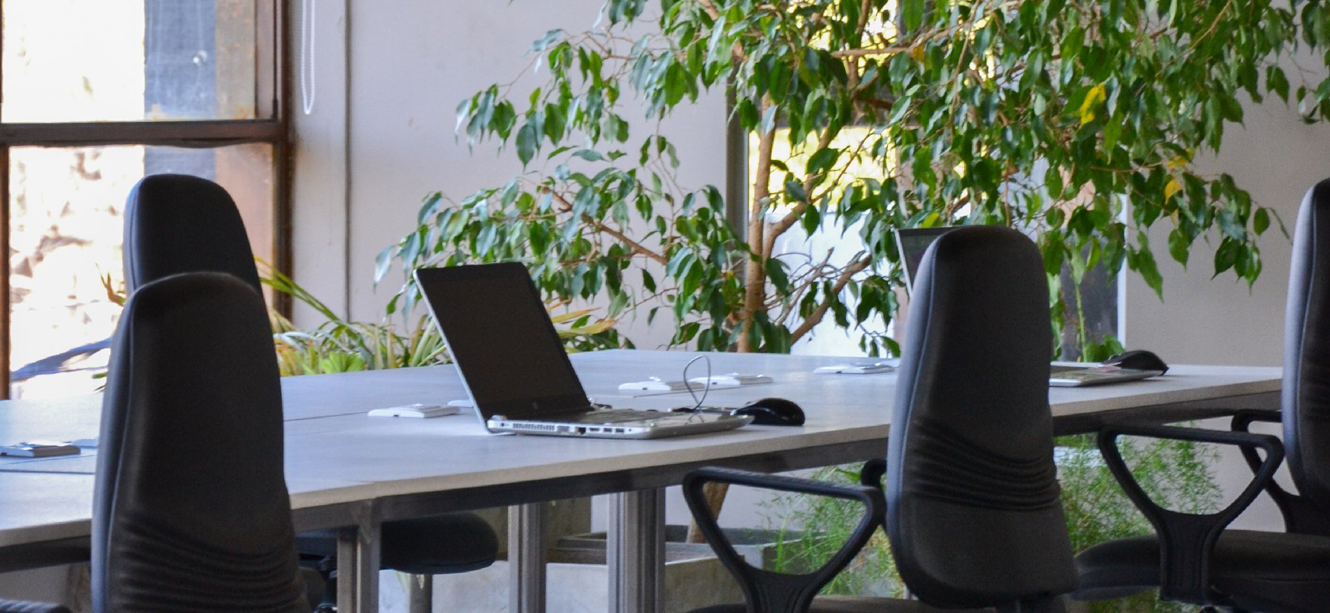black and brown leather padded tub sofa