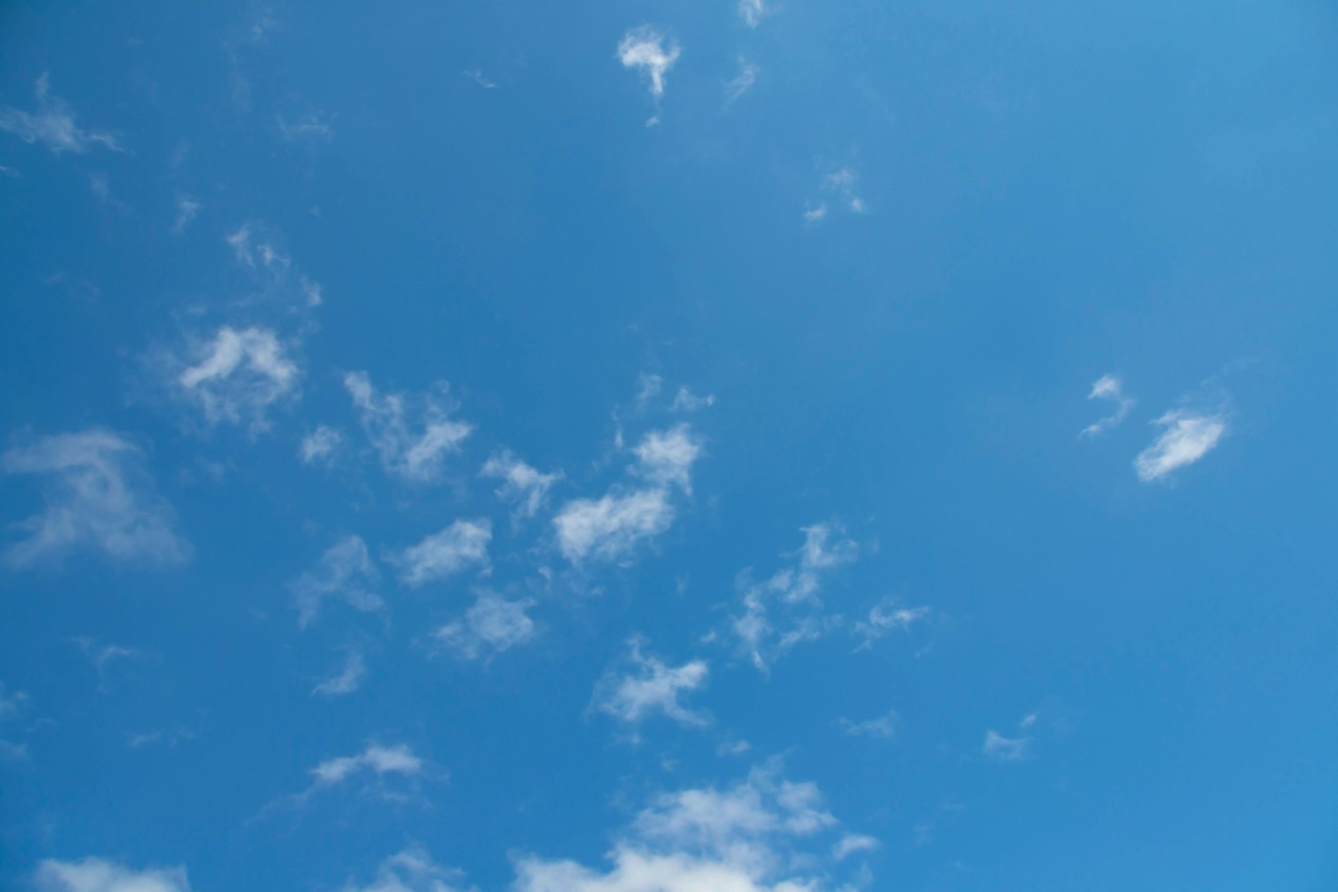 an abstract photo of a curved building with a blue sky in the background