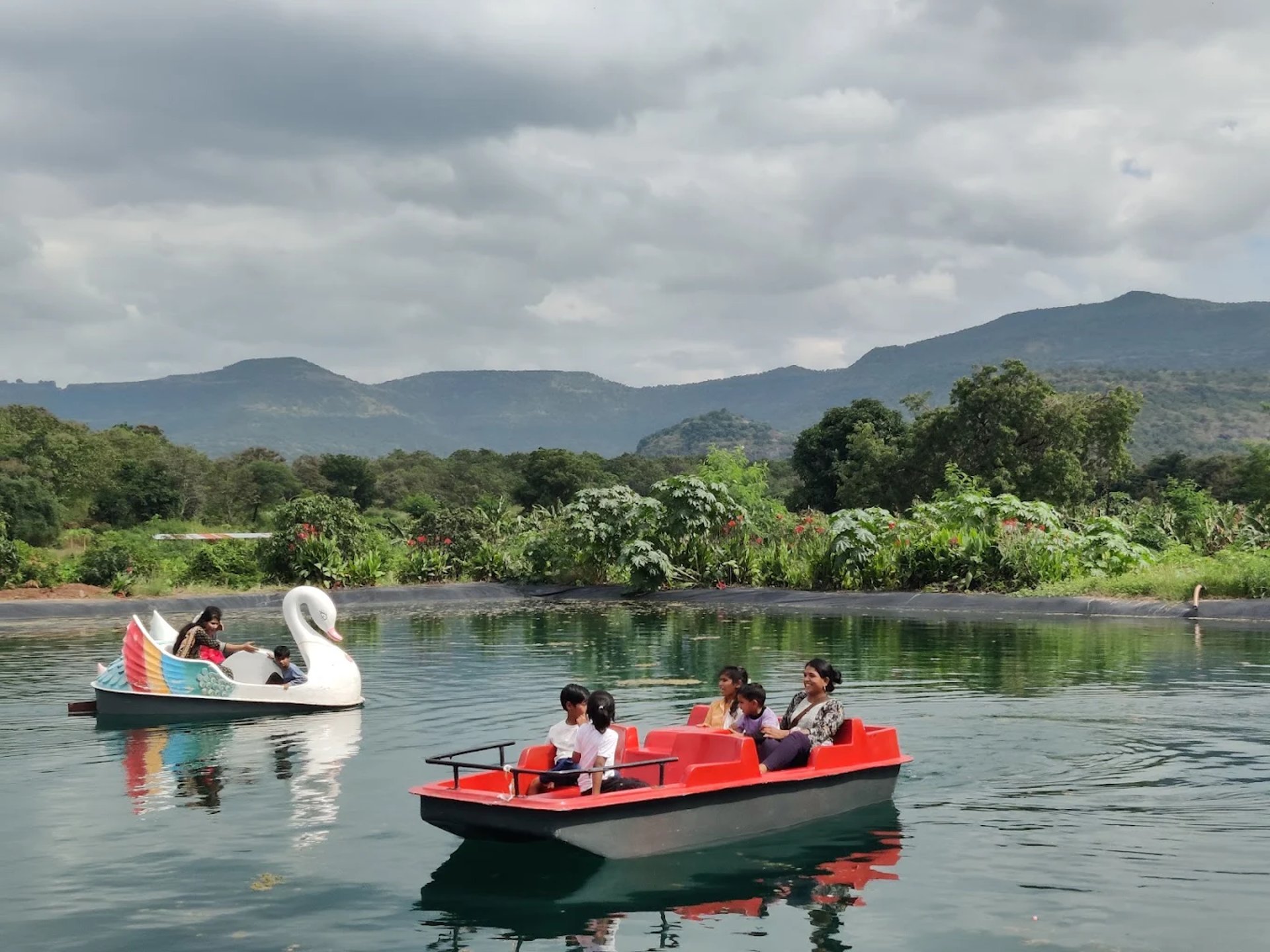 selective focus photography of green succulent plant