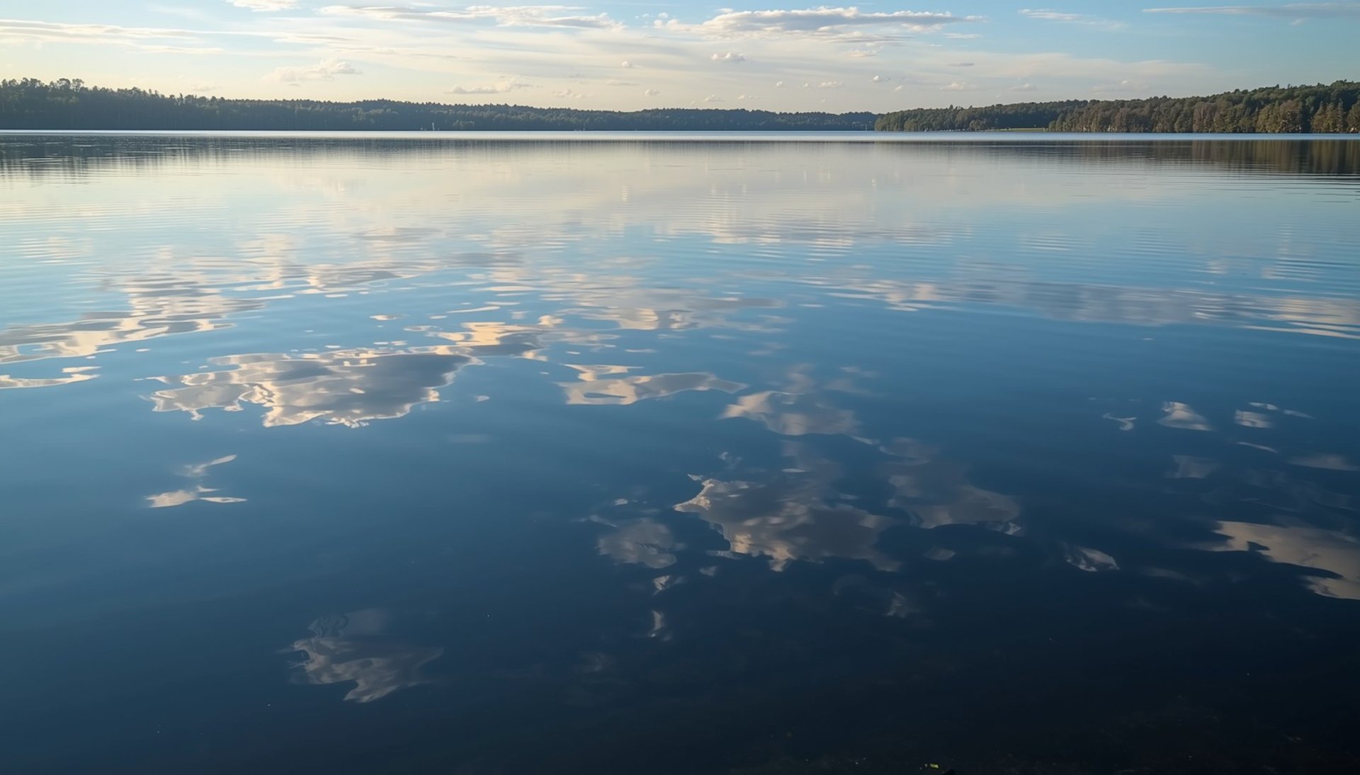an abstract photo of a curved building with a blue sky in the background
