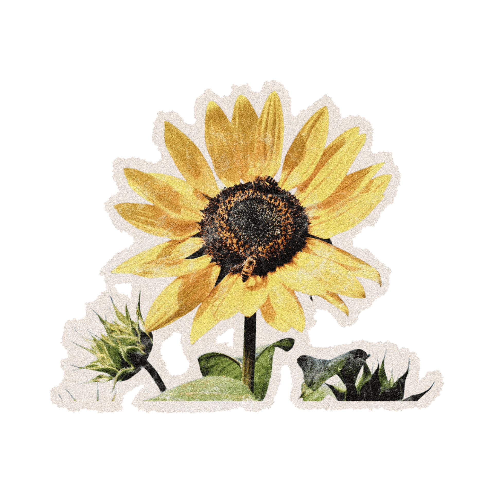 an abstract photo of a curved building with a blue sky in the background