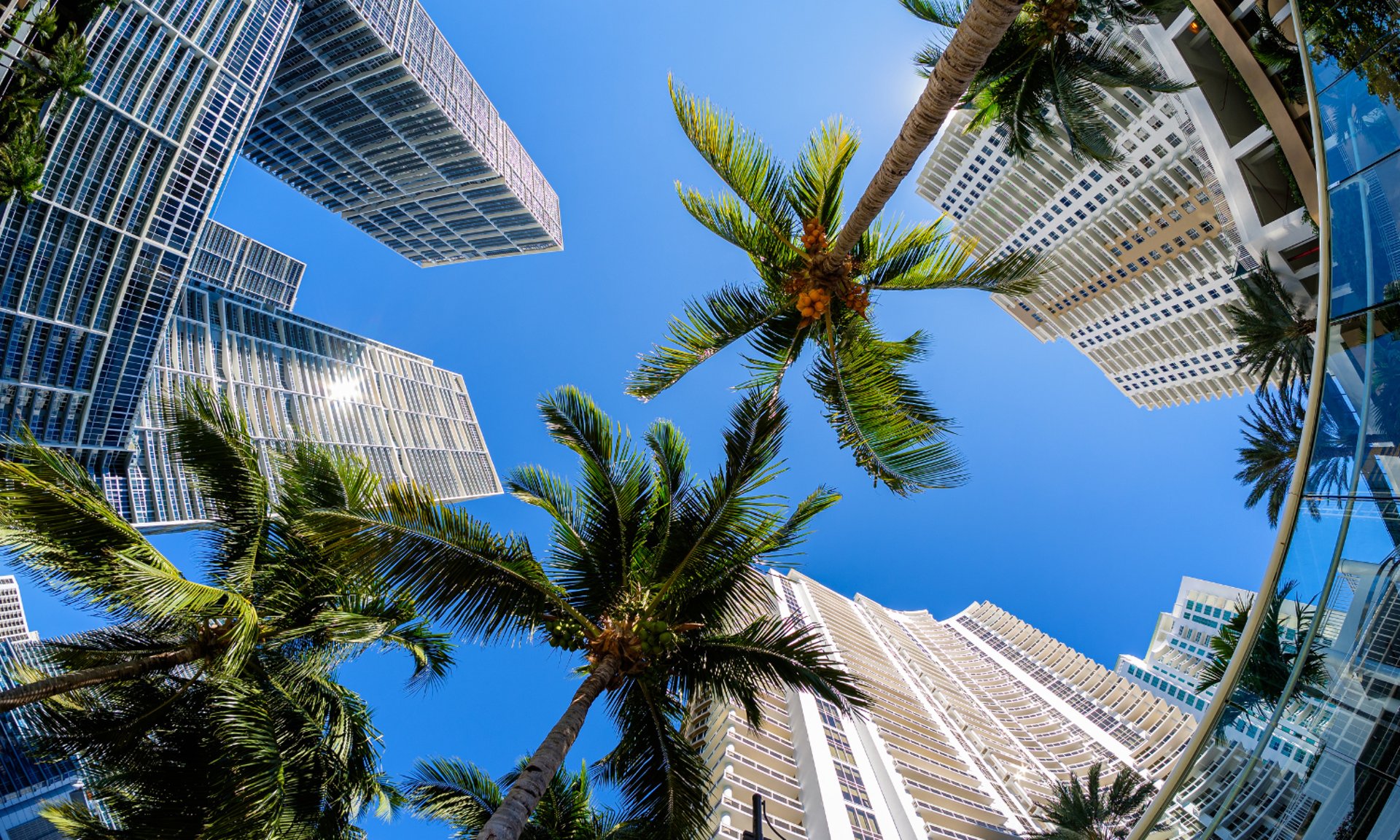 gray computer monitor