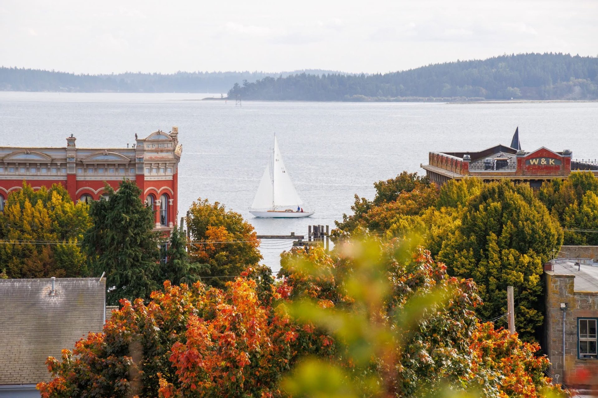 black and white bed linen