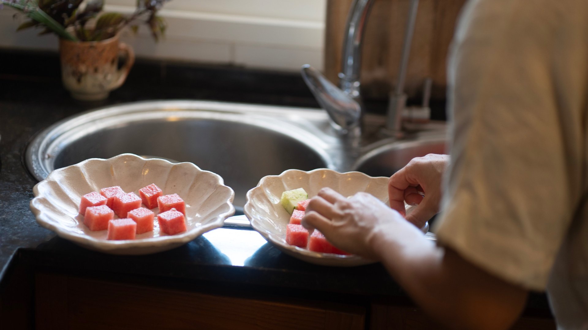 landscape photo of trees on mountain
