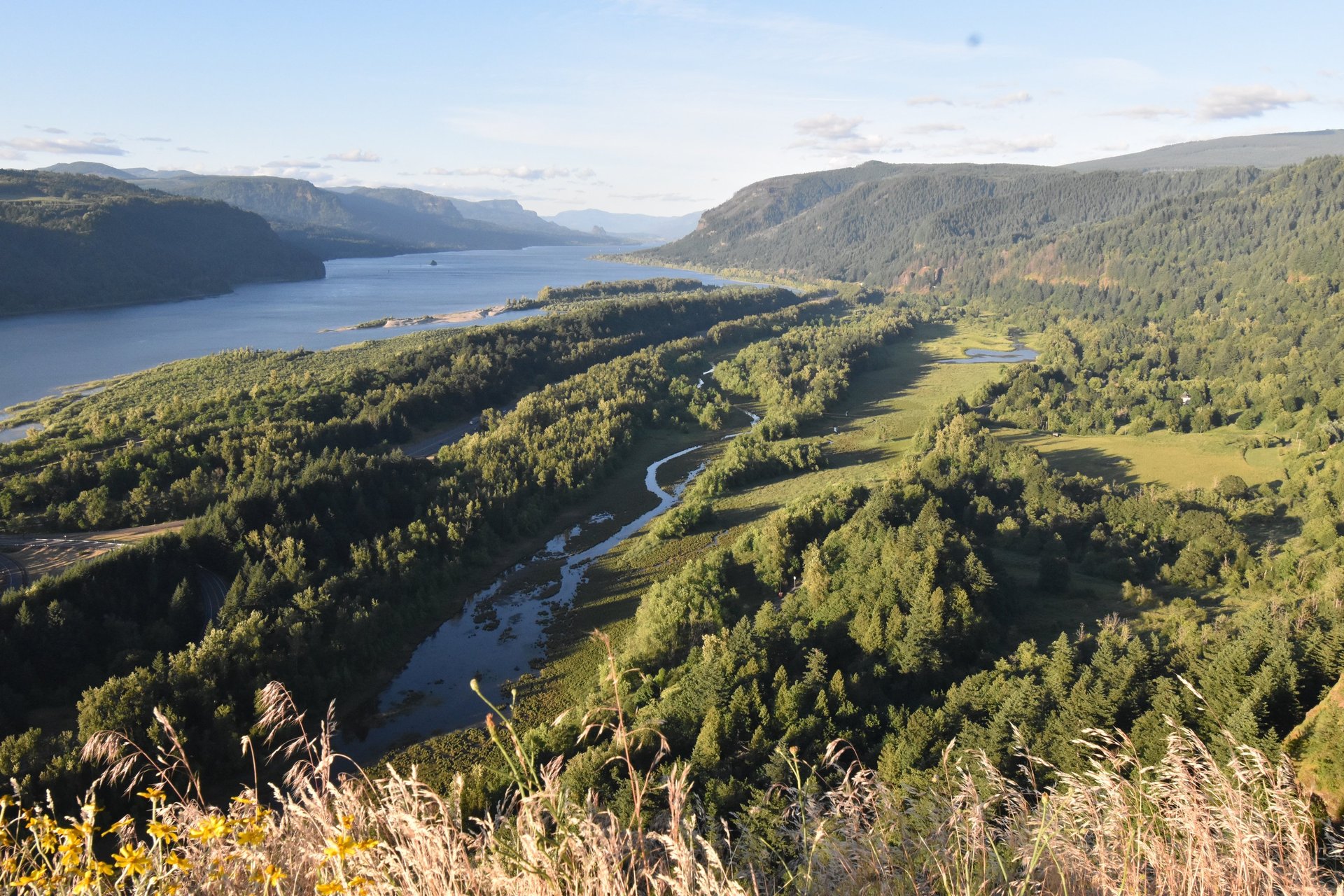 black and brown leather padded tub sofa