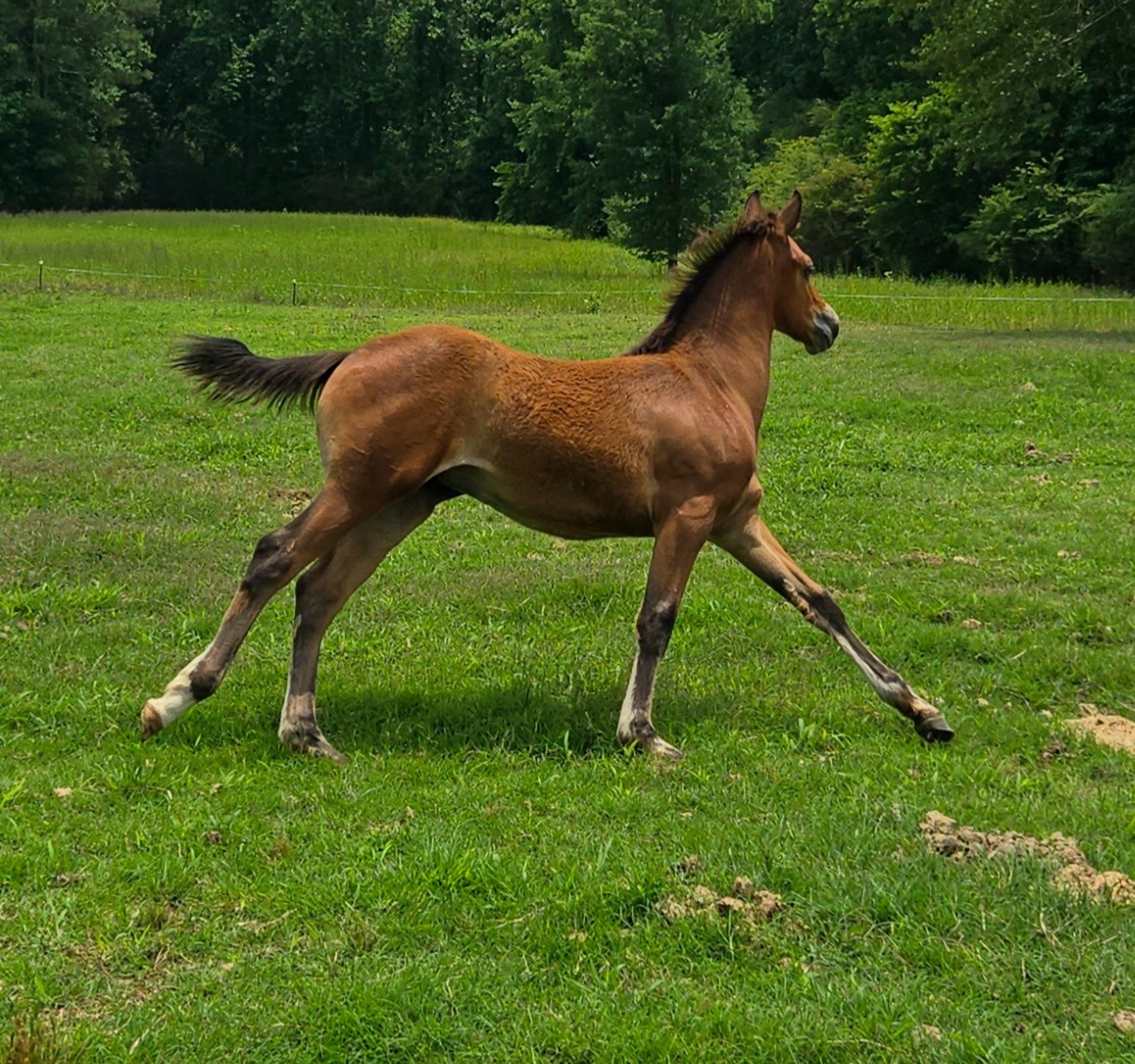 black blue and yellow textile