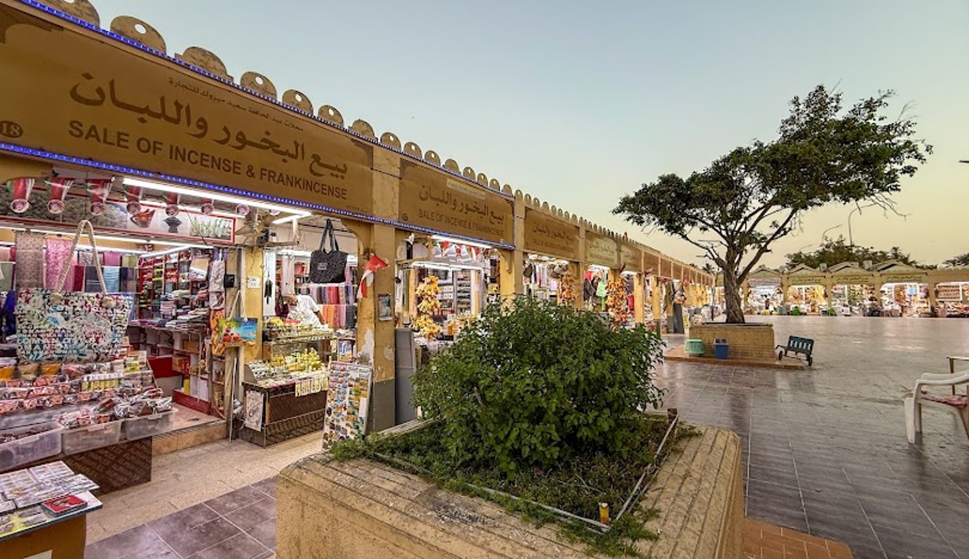 Salalah Oman Royal Oryx Oman.jpg