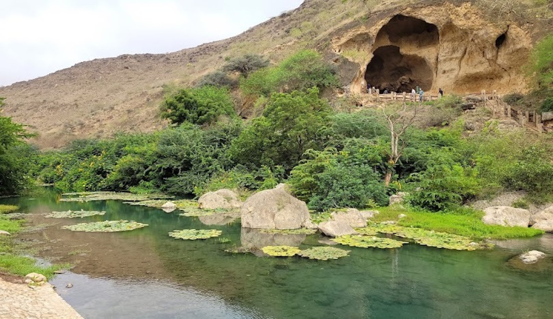 Salalah Oman Royal Oryx Oman.jpg