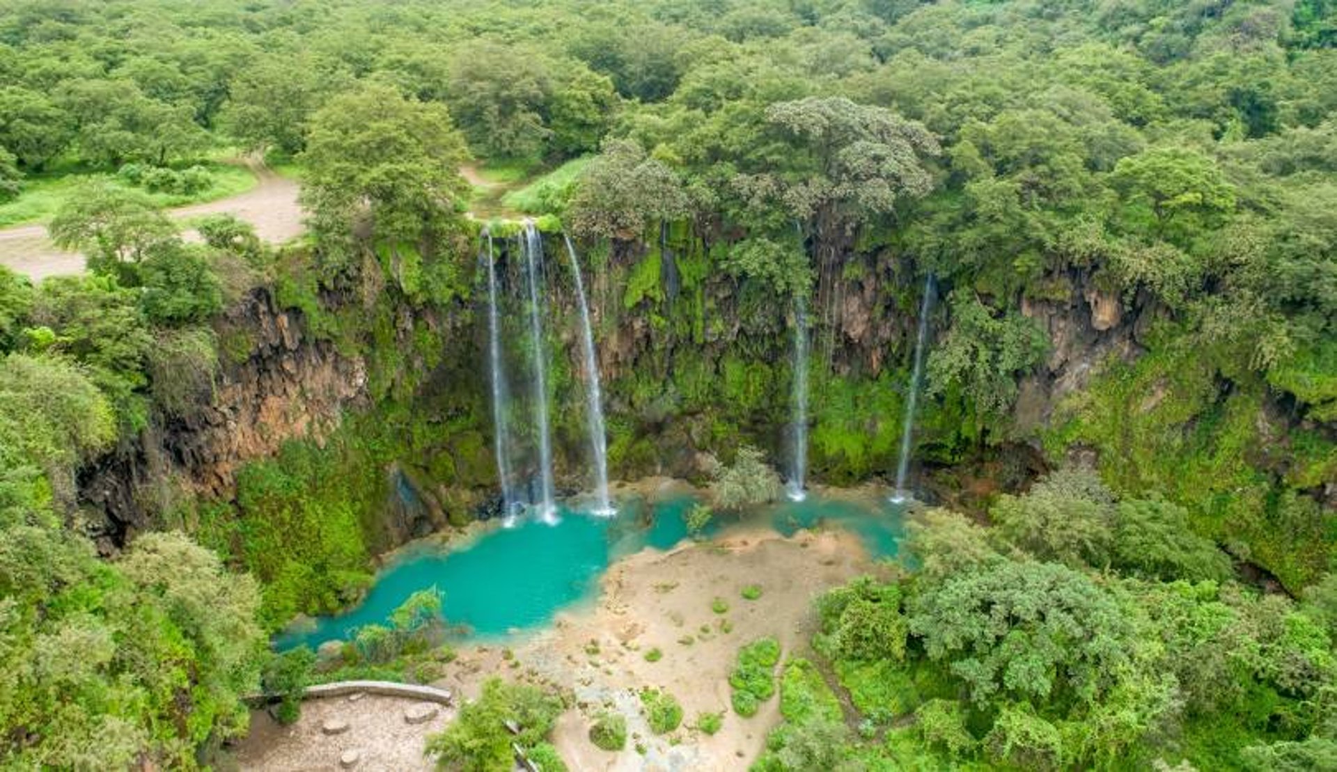 Salalah Oman Royal Oryx Oman.jpg