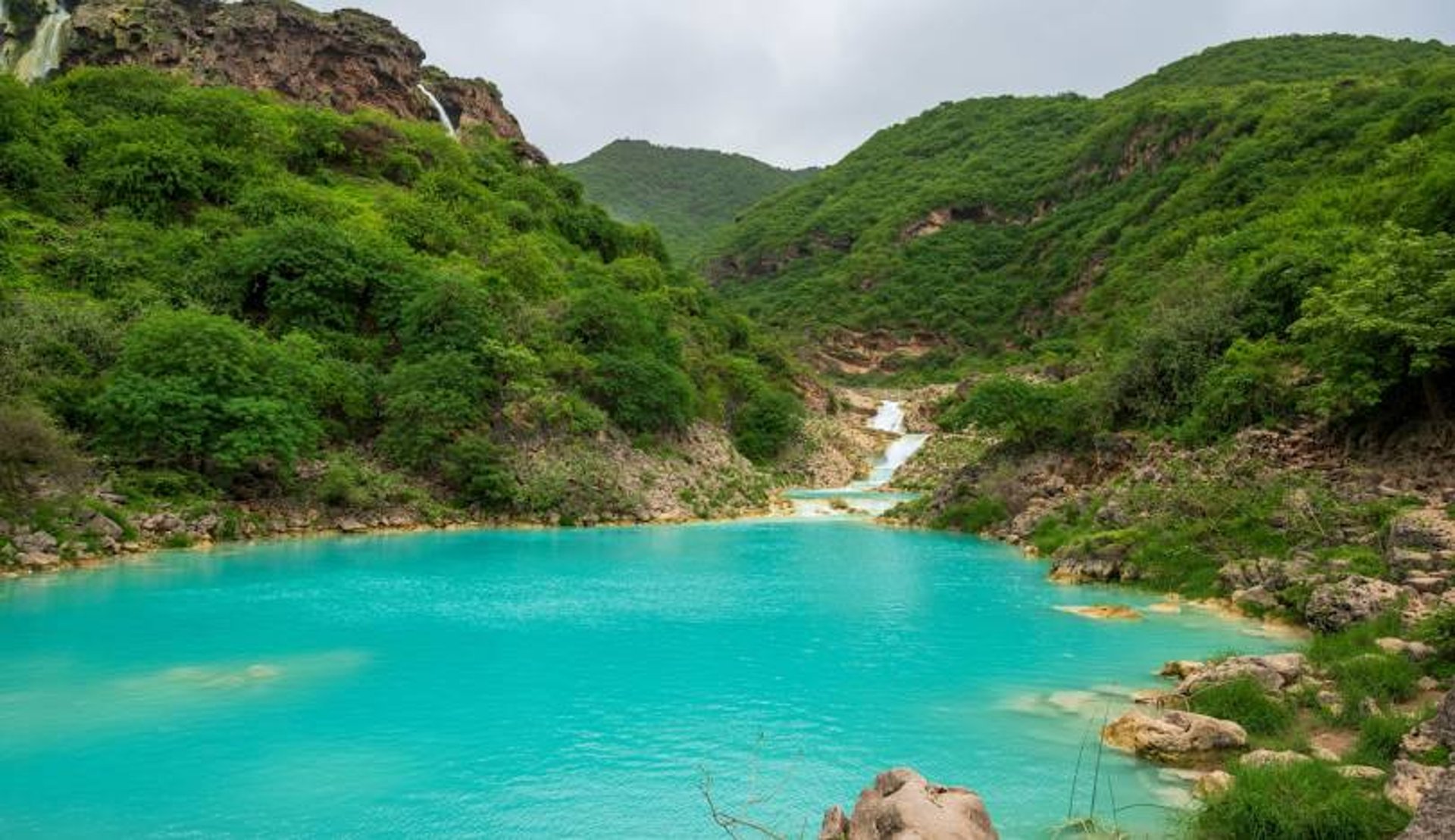 Salalah Oman Royal Oryx Oman.jpg