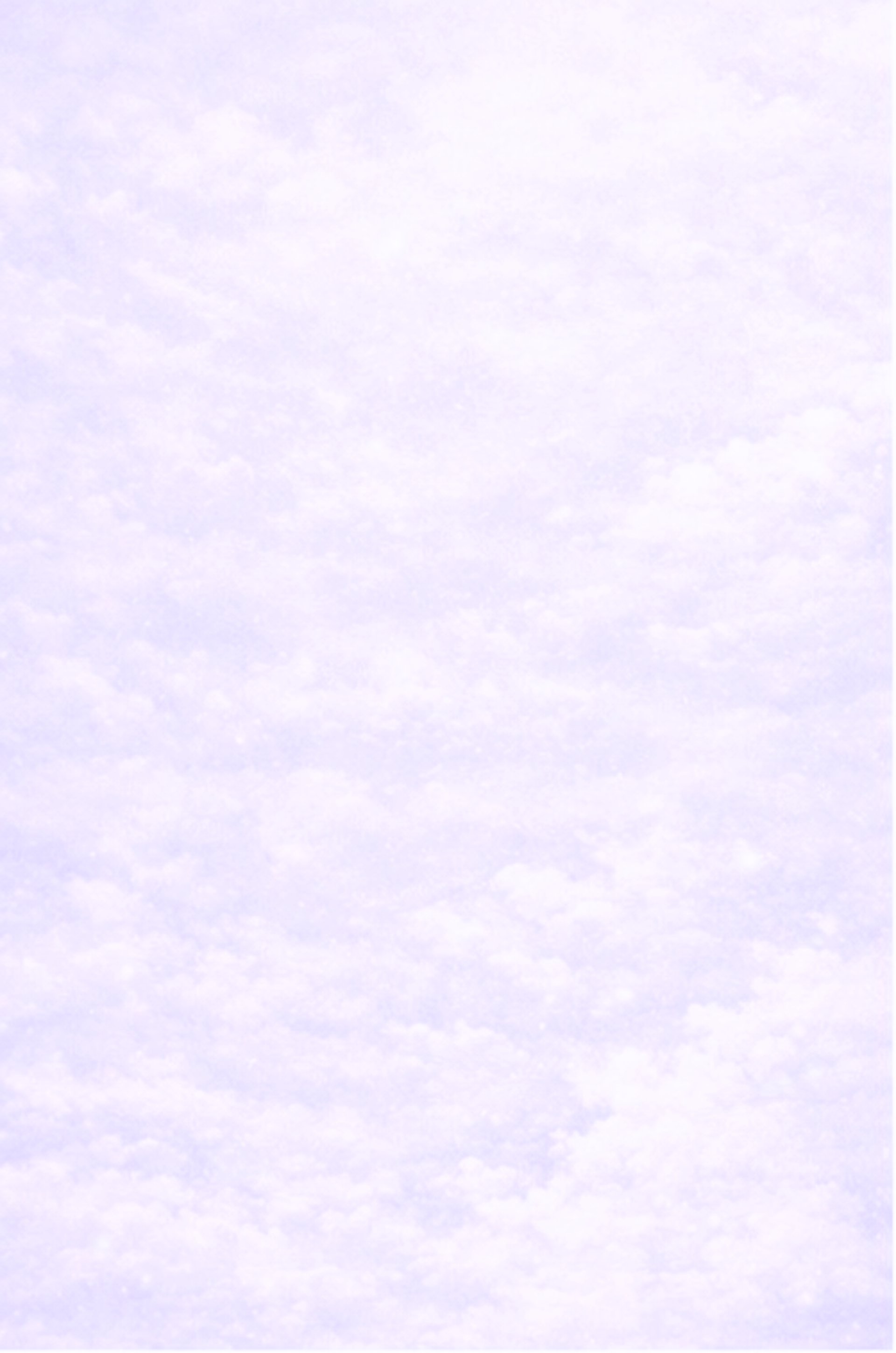 woman holding dried flower